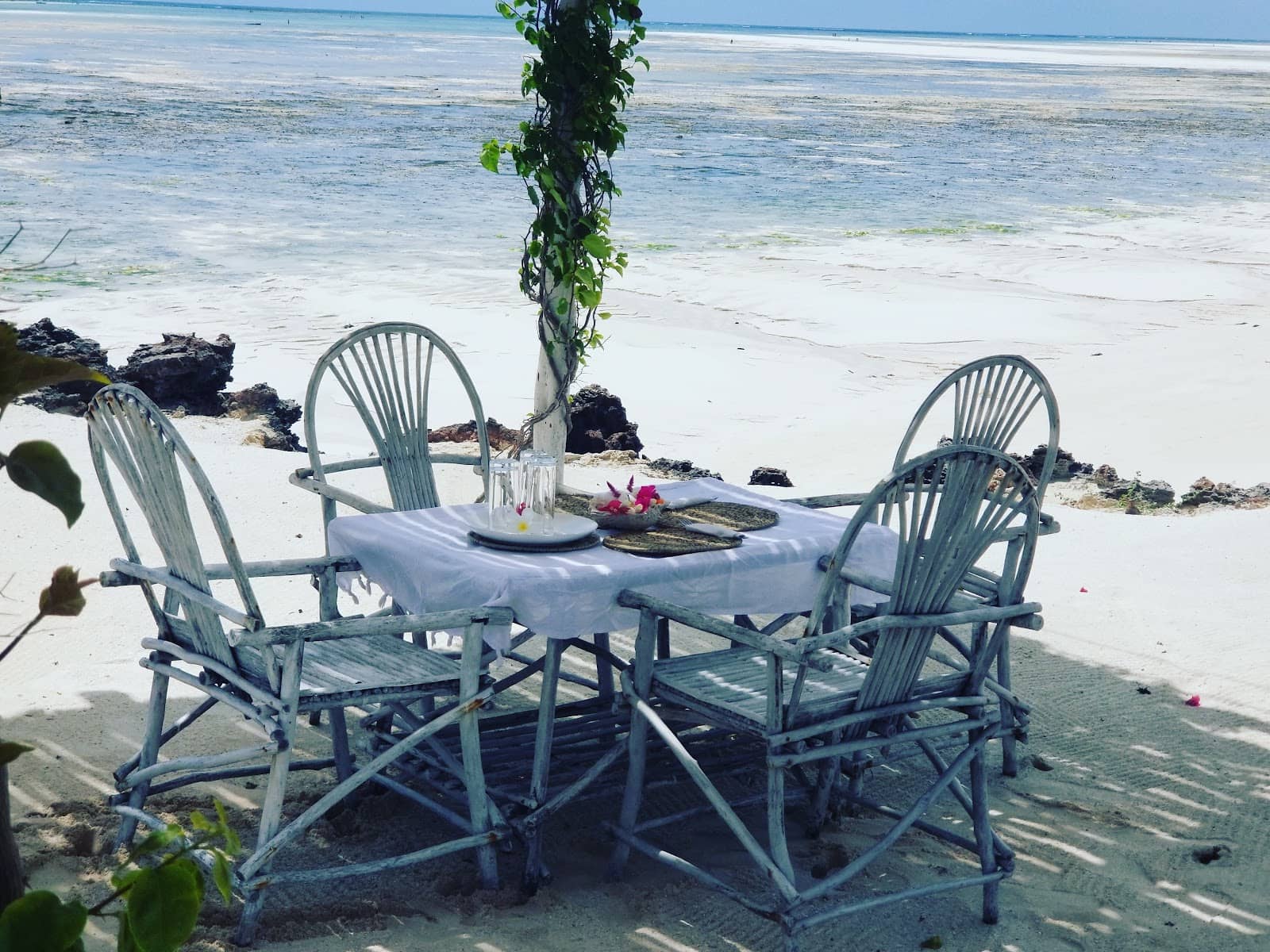 Therapeutic Natural Ambiance