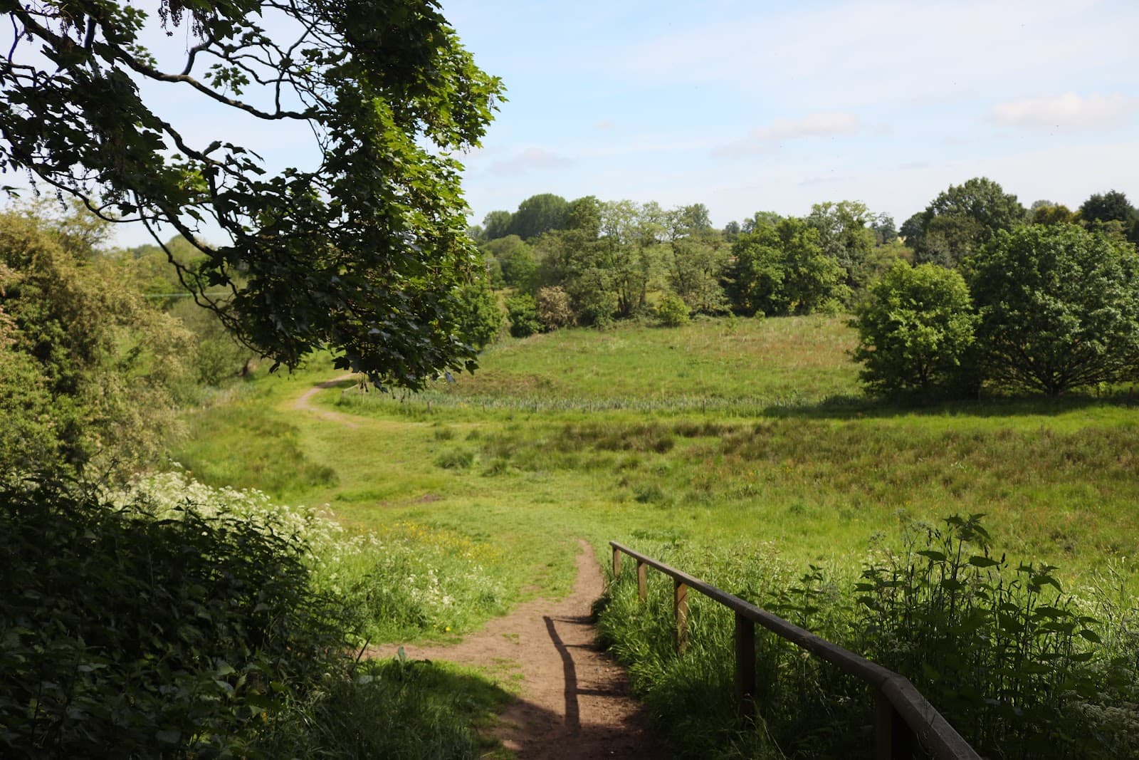 Wybunbury Moss National Nature Reserve - Image 1