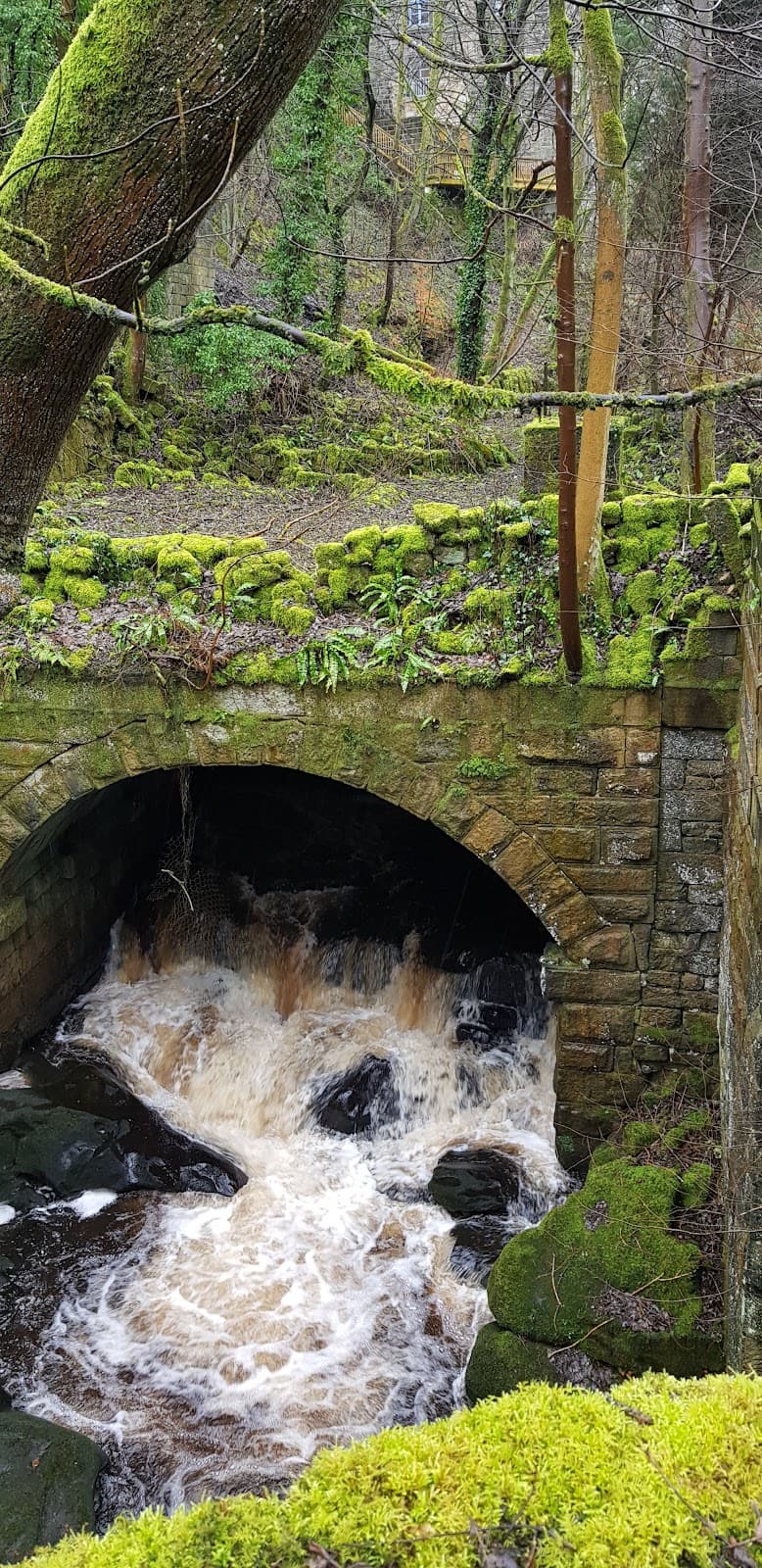 Cragg Vale - Image 1
