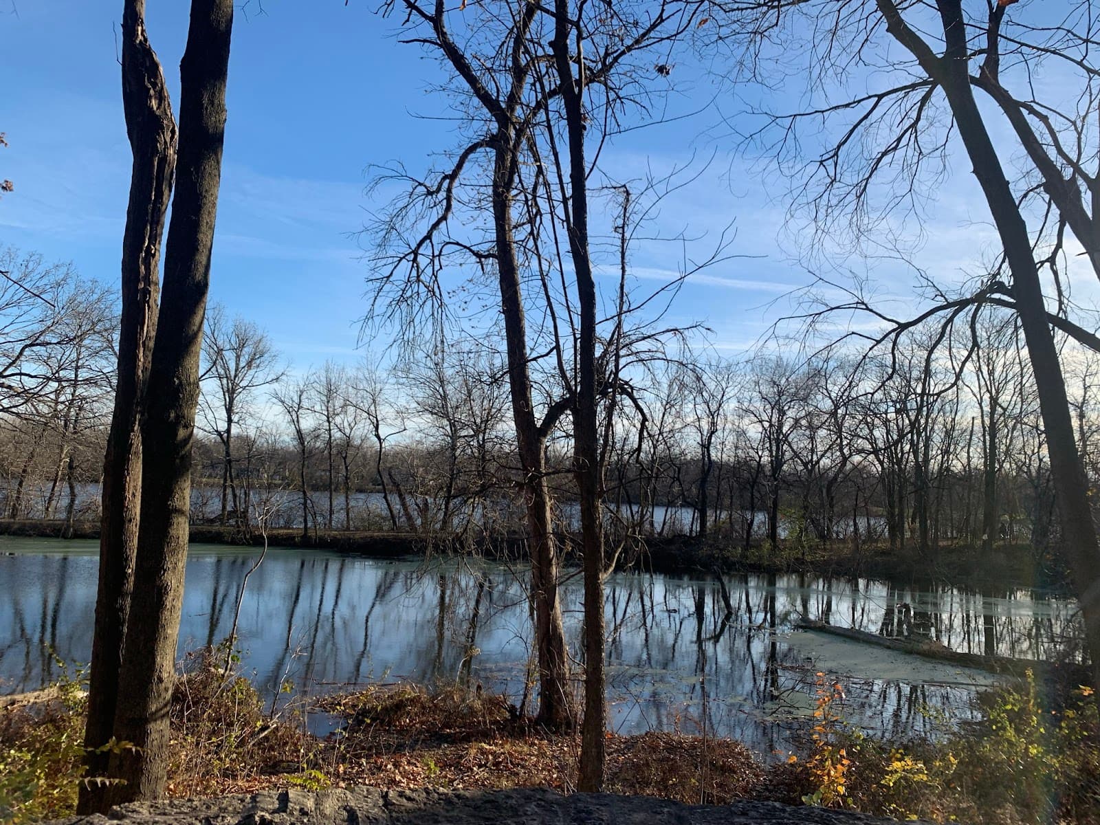 McKinley Woods – Frederick's Grove - Image 1