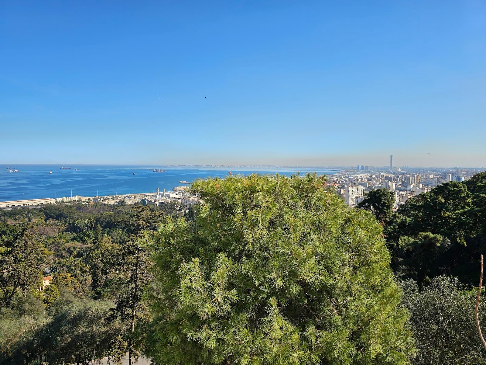 Hamma Memorial Cable Car - Image 1