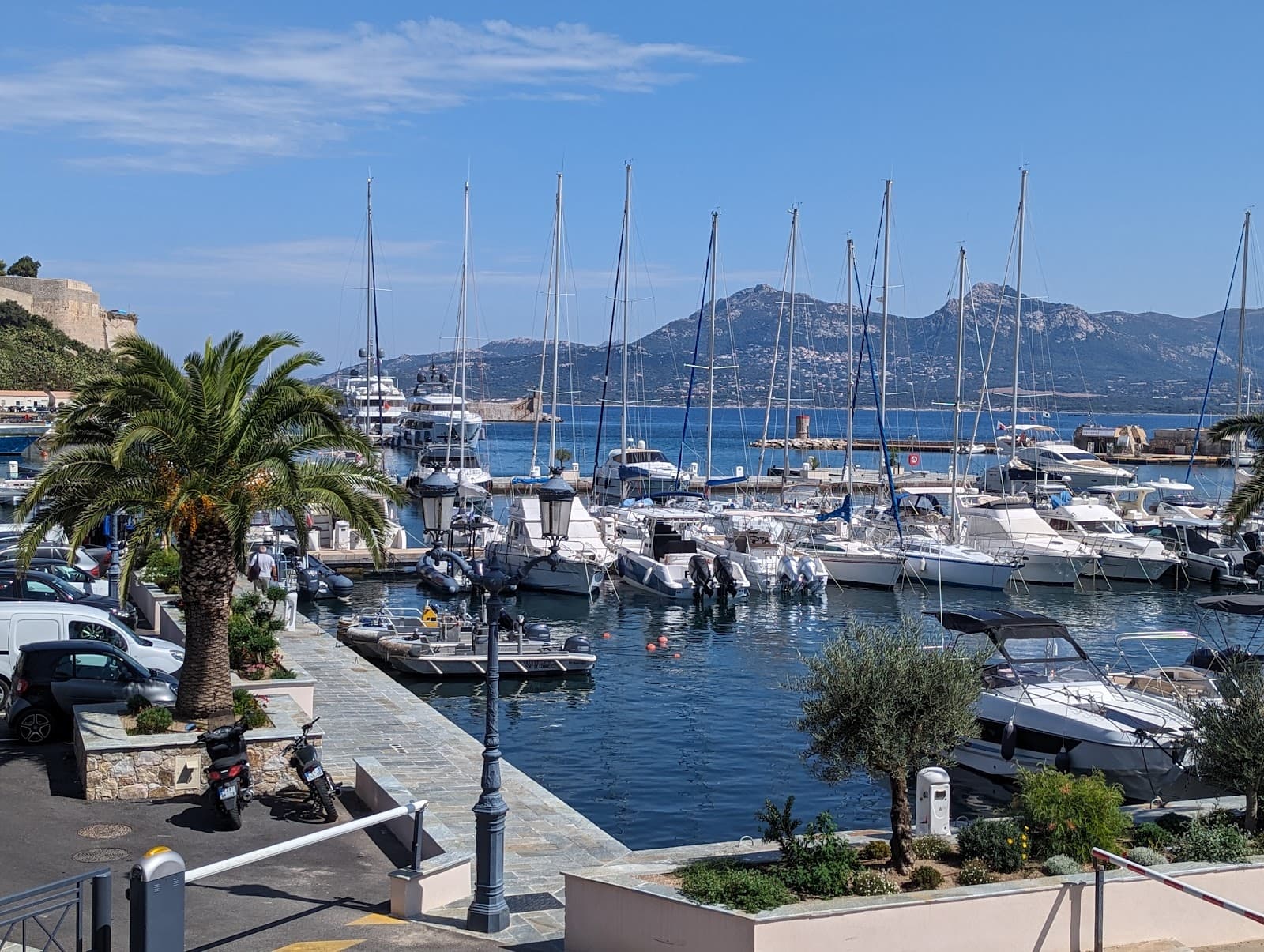 Gulf of Porto - Image 1