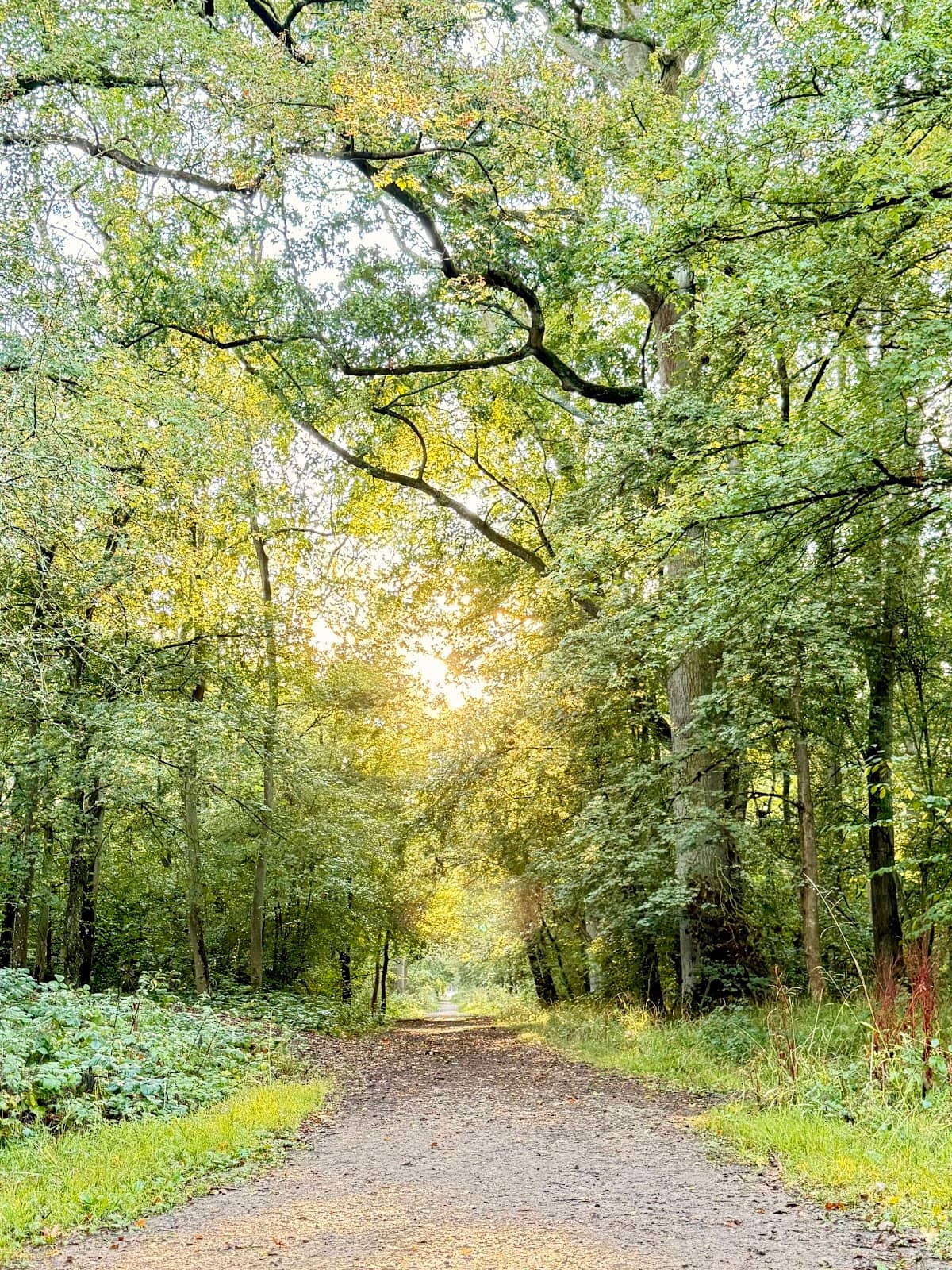 Open Fields & Play Park
