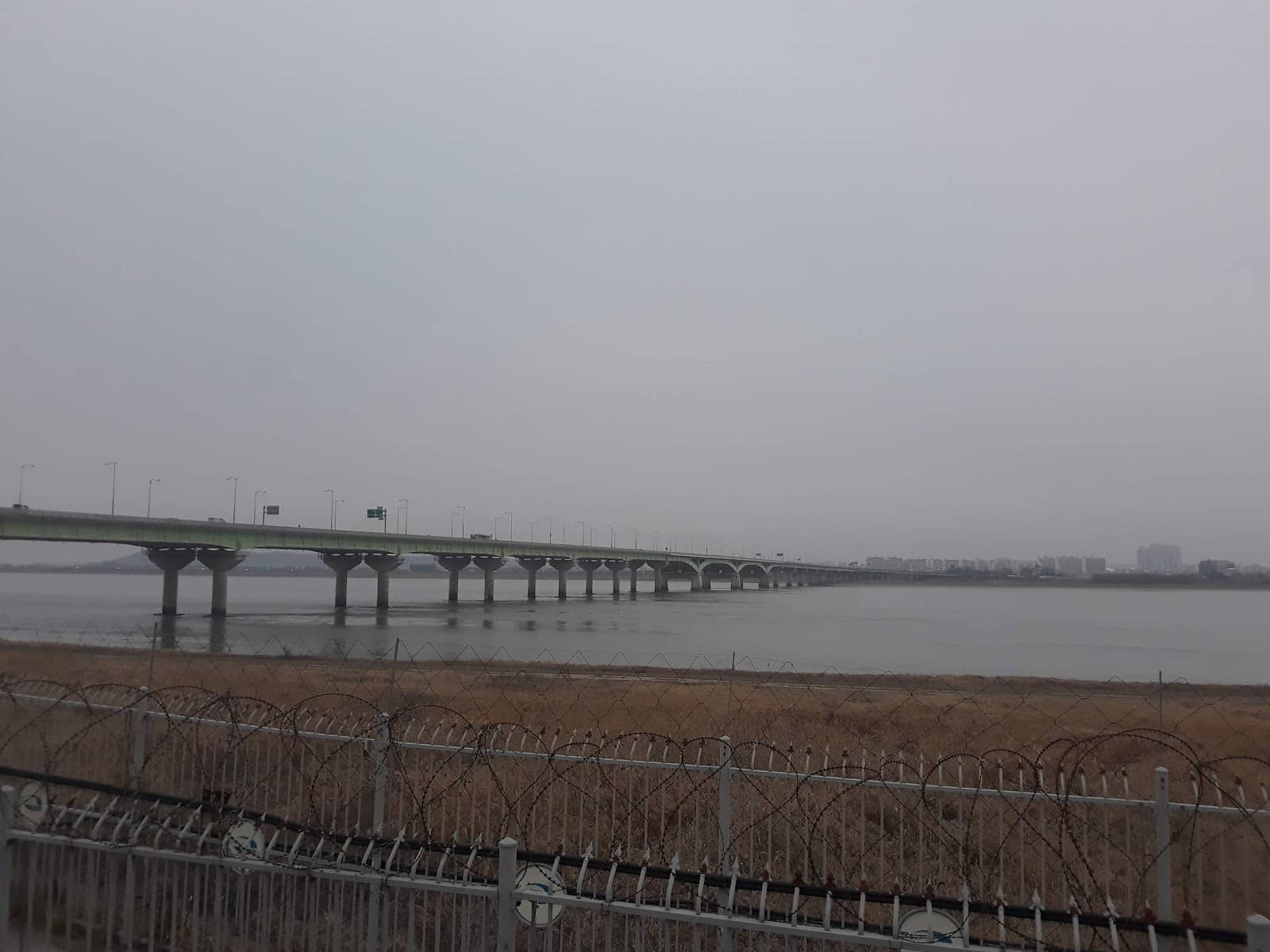 Janghang Wetland Views
