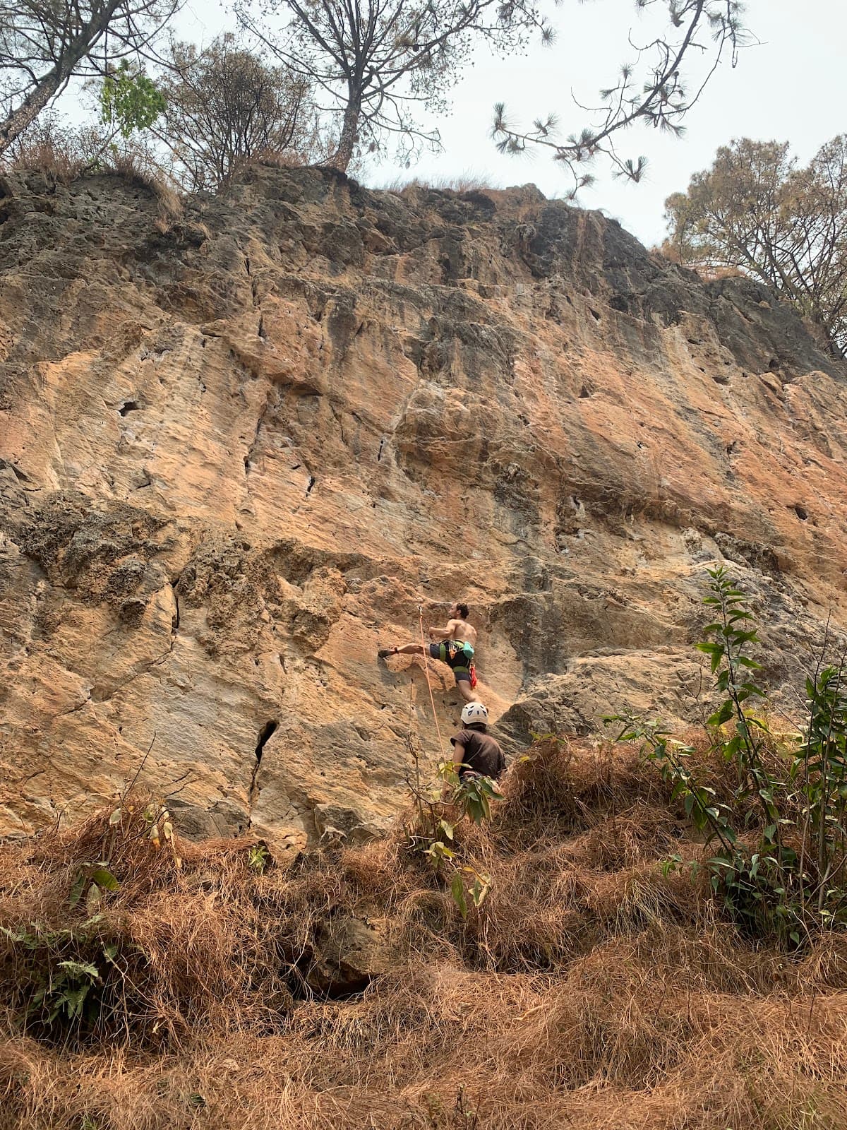 Hattiban Forest & Rock Climbing - Image 1