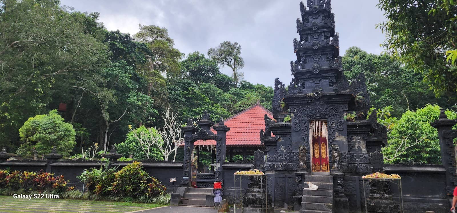Adjacent Wet Market Delicacies