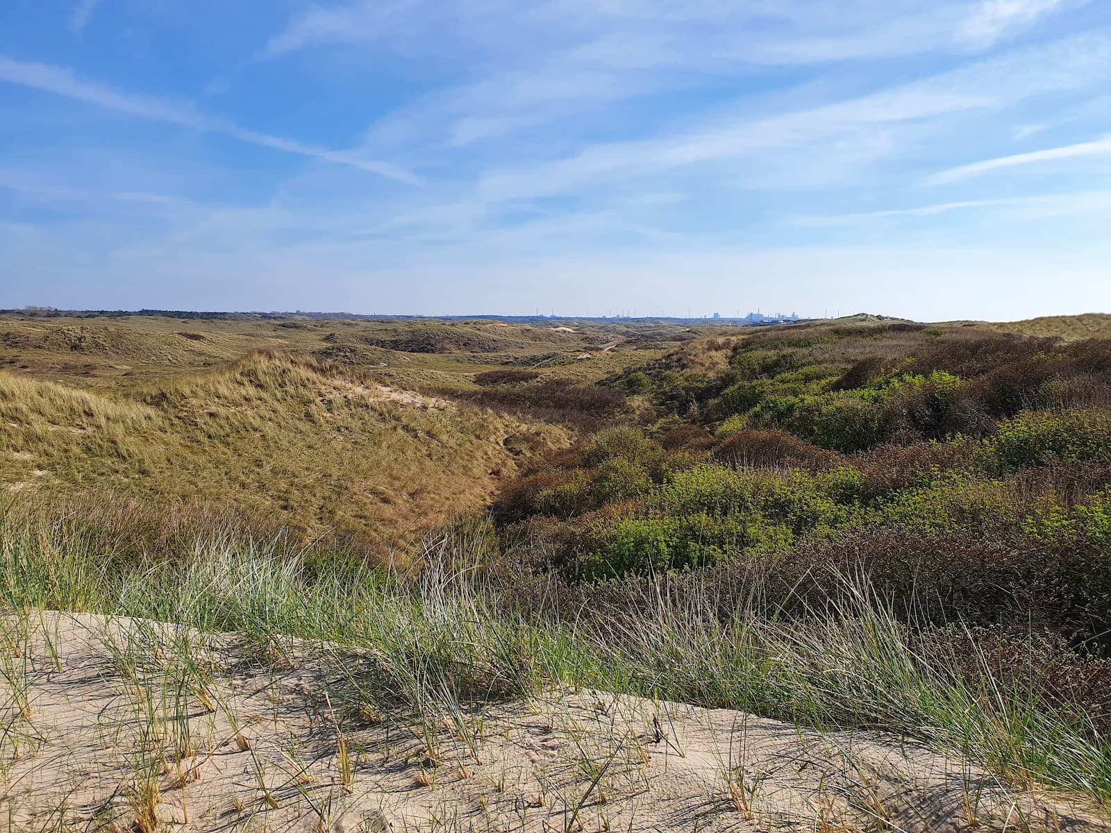 Noordhollands Duinreservaat - Image 1