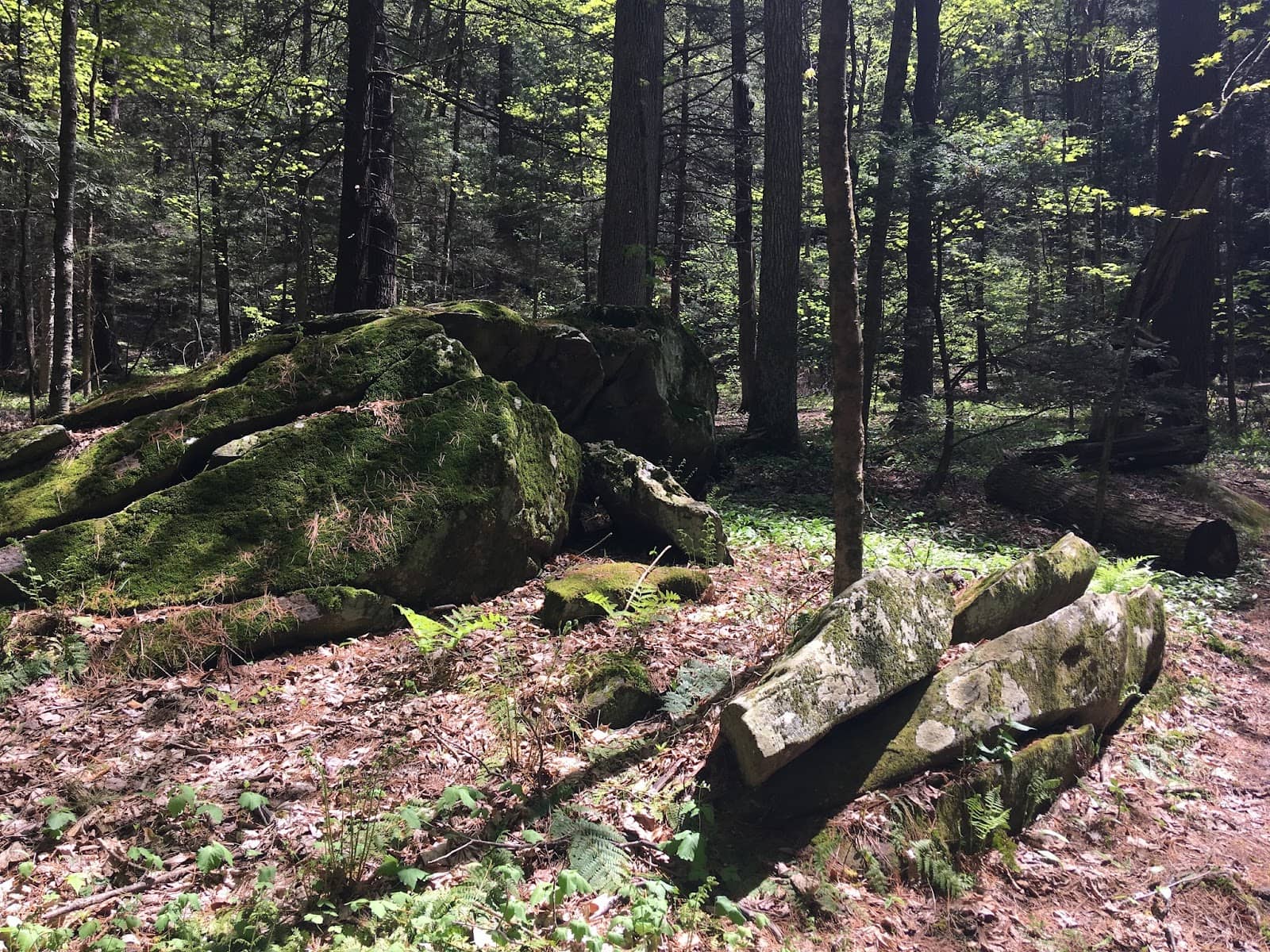 Melville's Inspiration