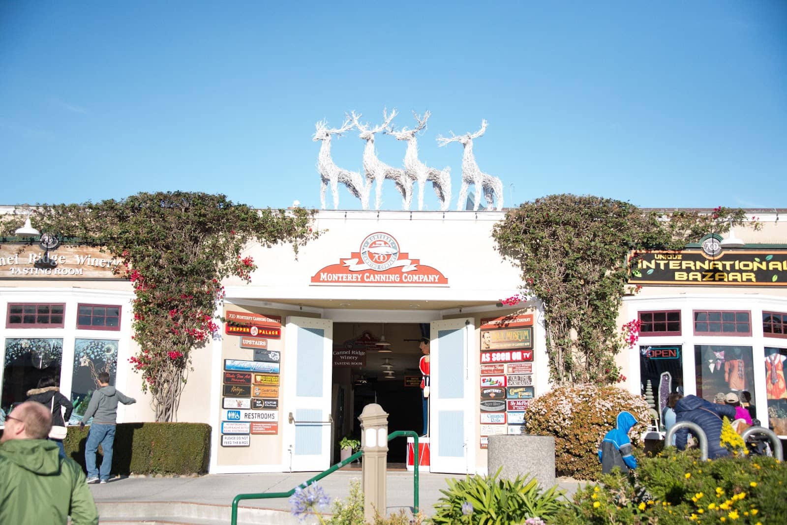 Ocean Views and Coastal Path