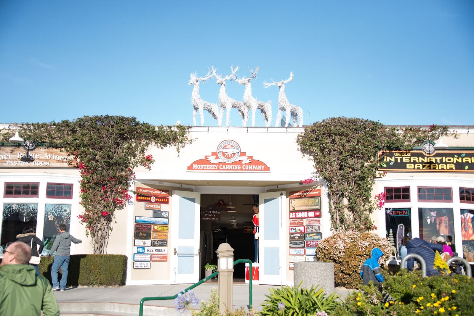 Cannery Row - Image 1