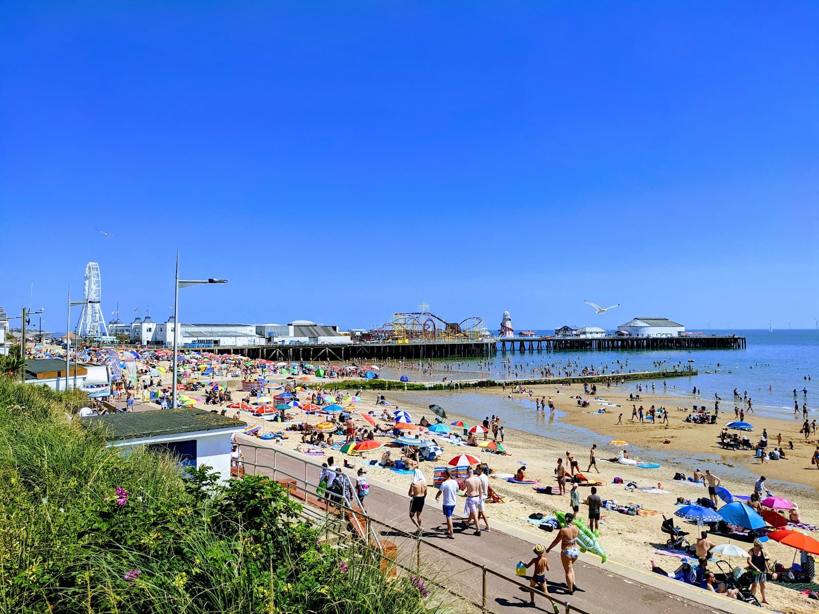 Clacton Seafront Gardens - Image 1