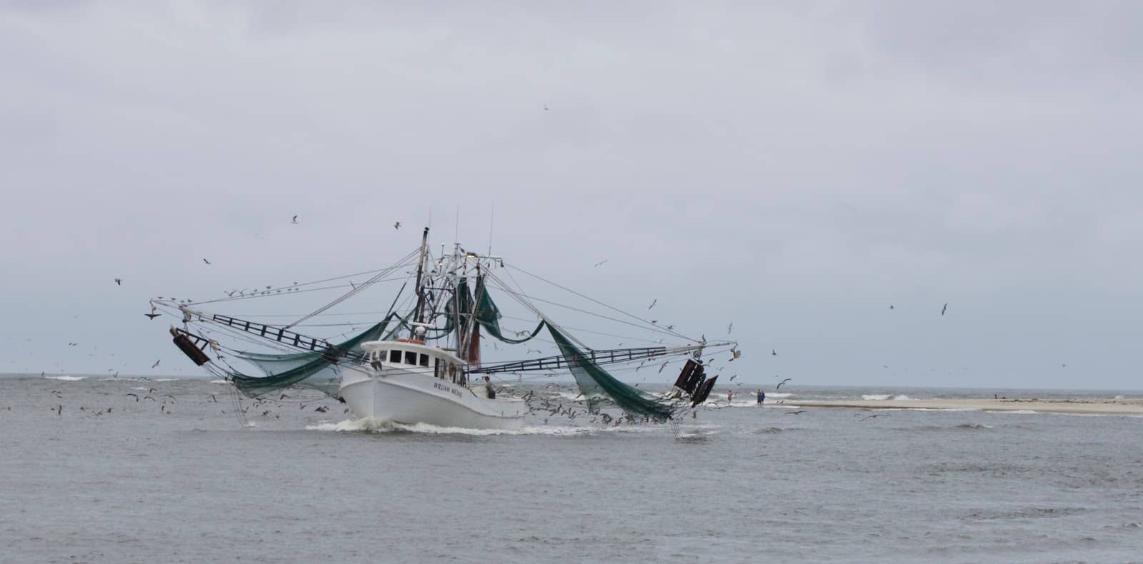 Local Coastal Cuisine