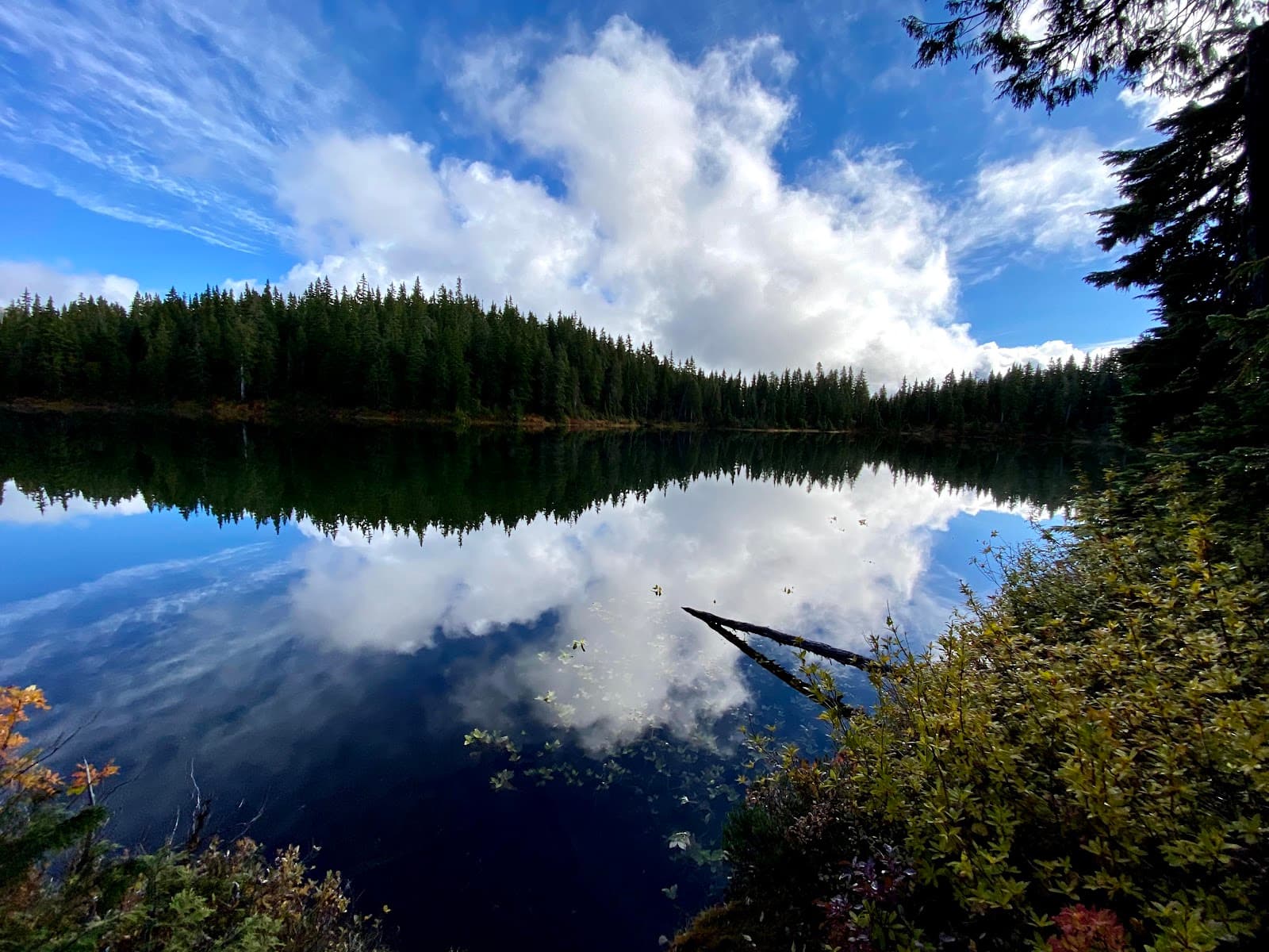 Paradise Meadows (Strathcona) - Image 1