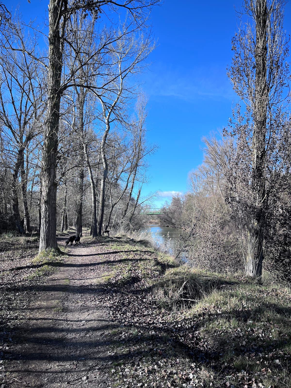 Senda del Duero (GR-14) – Aranda Section - Image 1