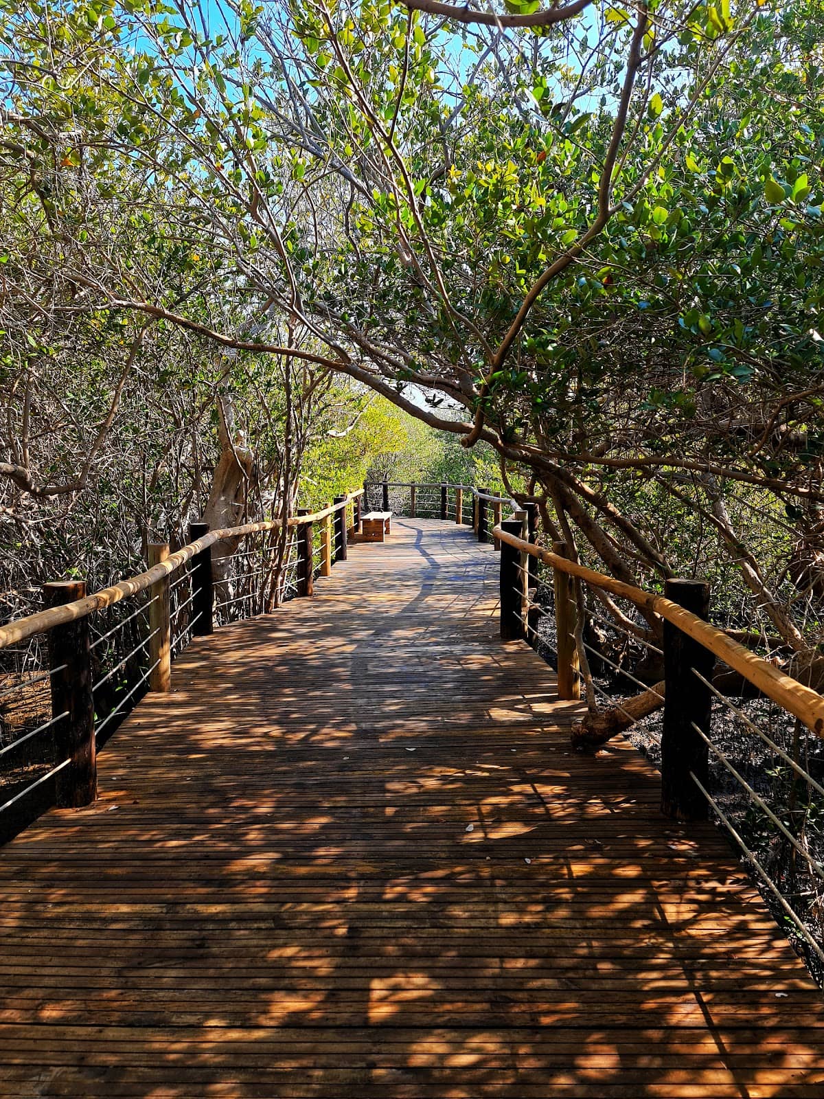 Kalba Mangrove Centre