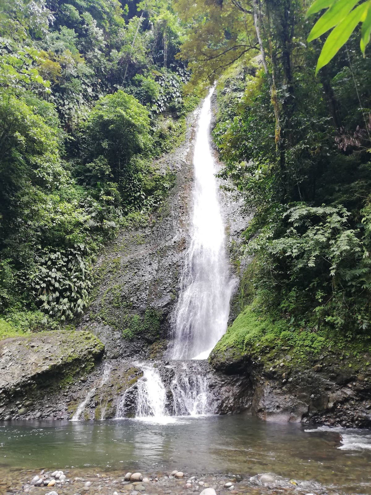 Hitoy Cerere Biological Reserve - Image 1