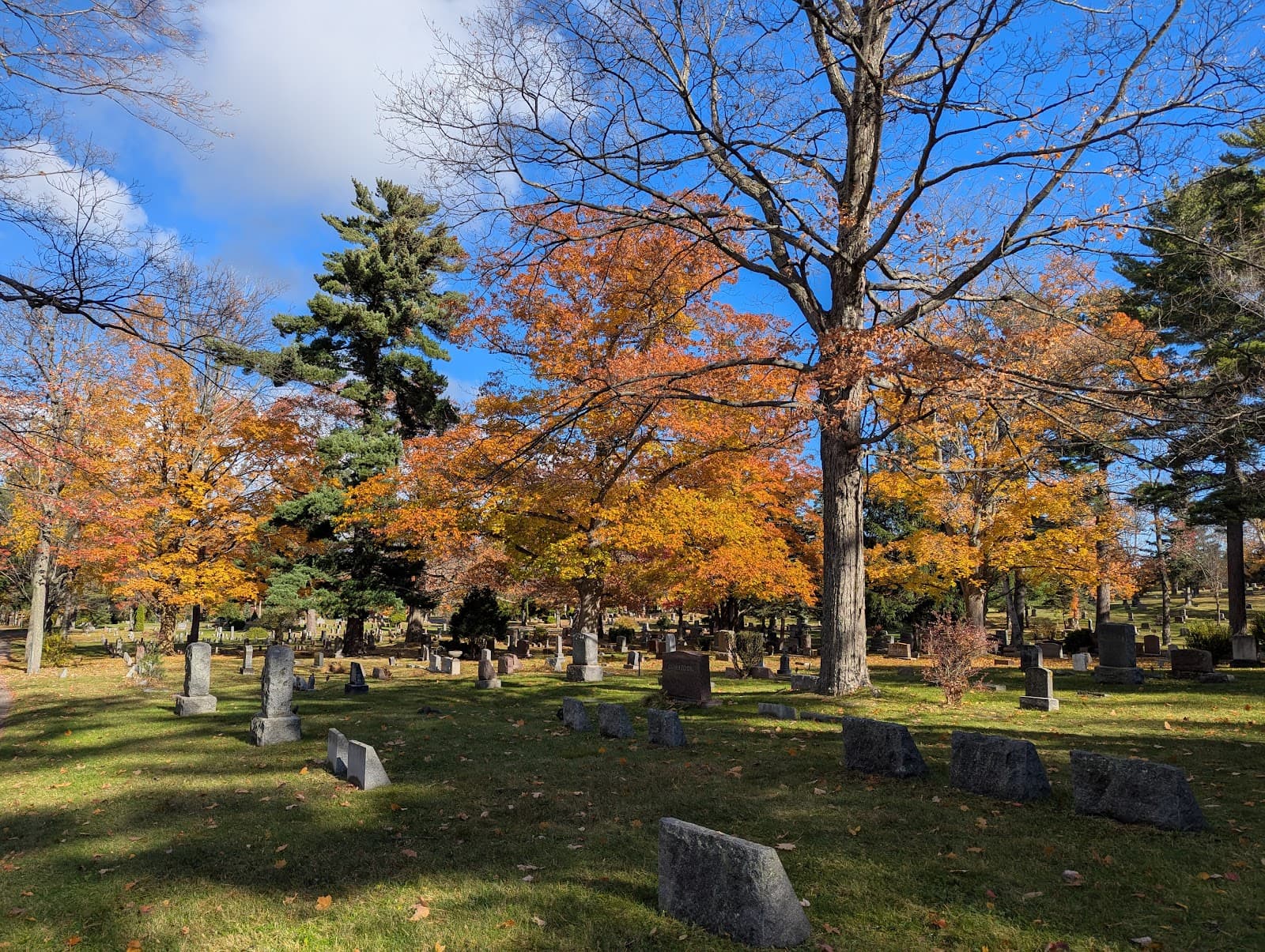 Park Cemetery - Image 1