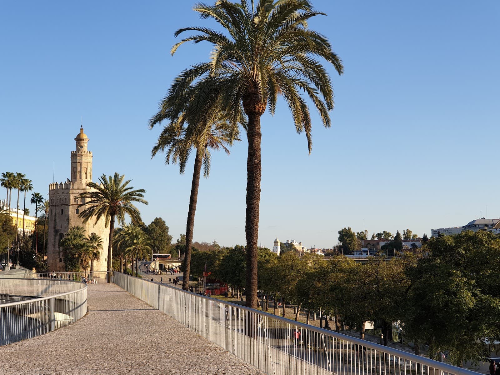 Paseo de Cristóbal Colón Seville - Image 1