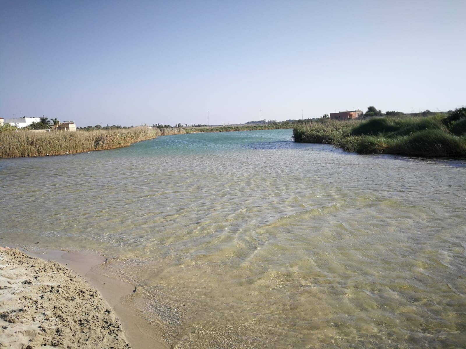 Potential Forest Gem