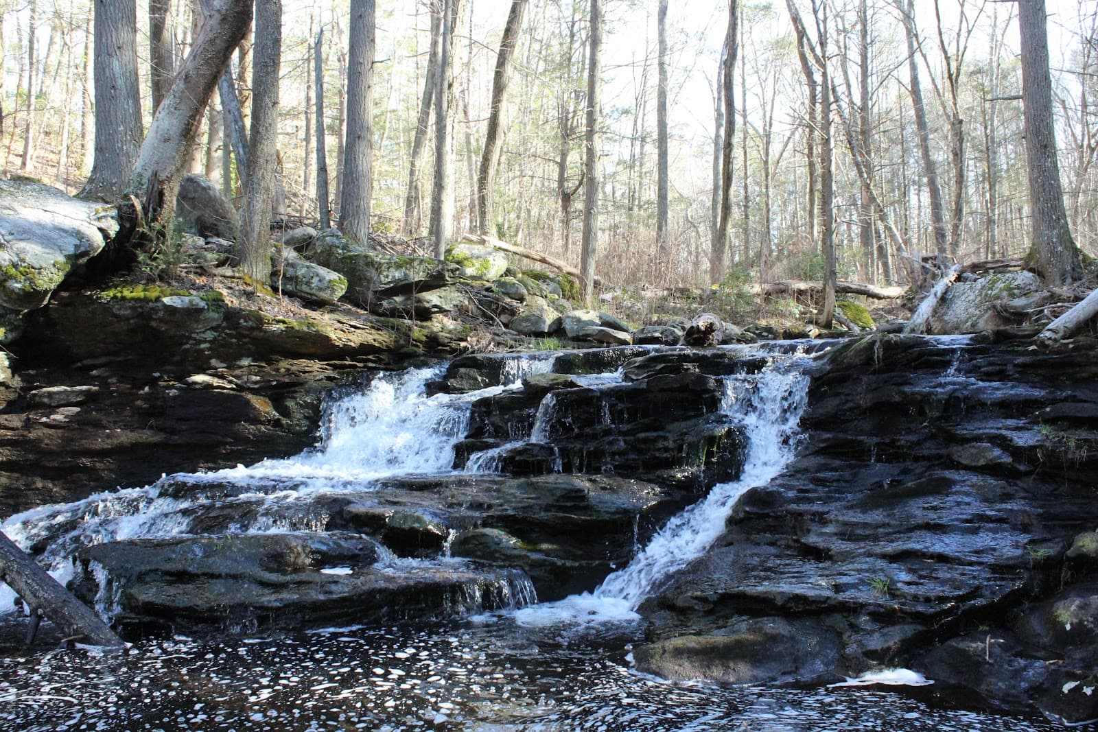 Sheepskin Hollow Preserve - Image 1
