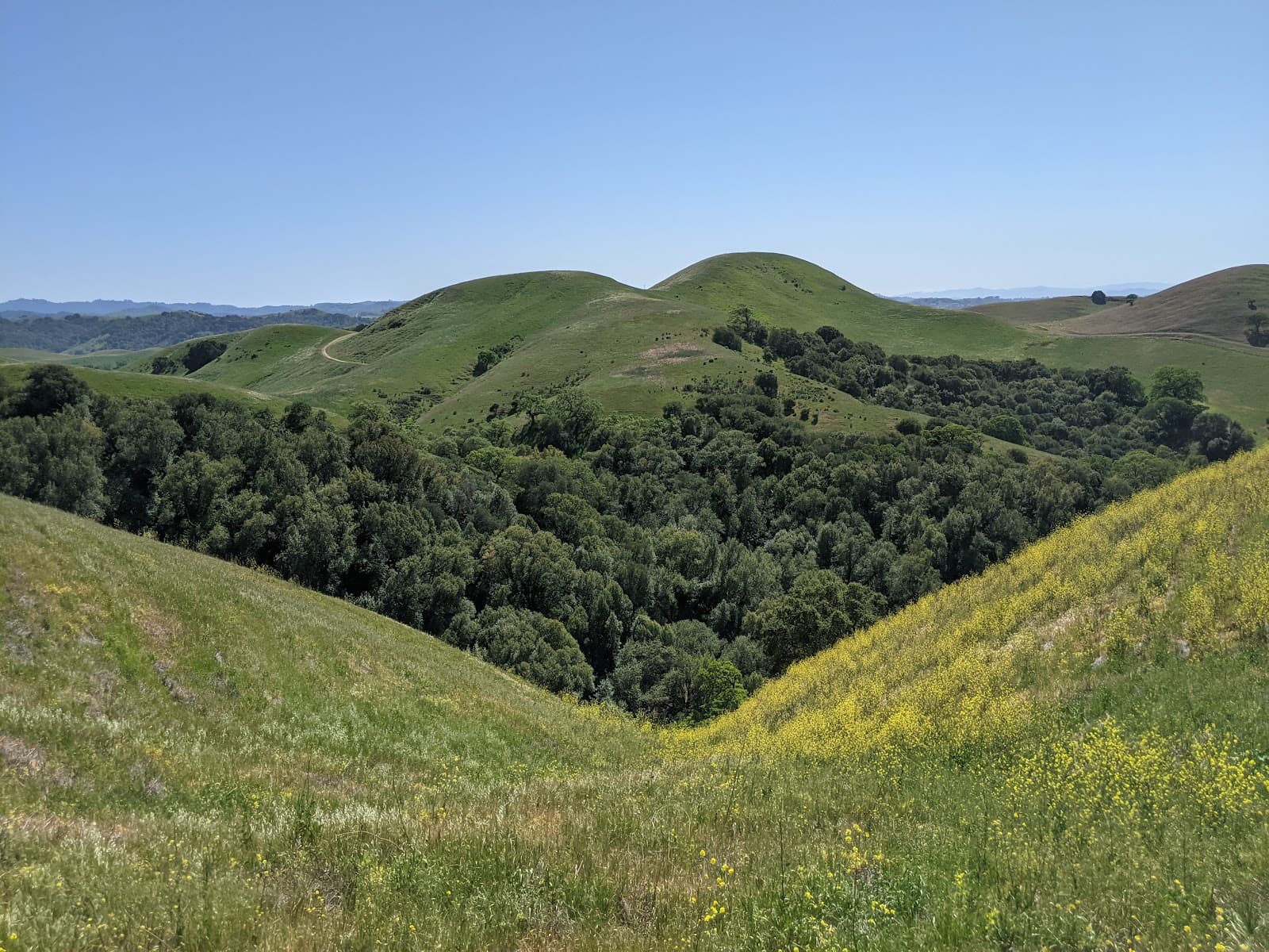 Crockett Hills Regional Park - Image 1