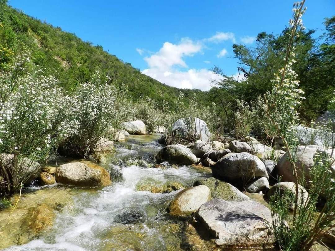 La Candelaria Village - Image 1