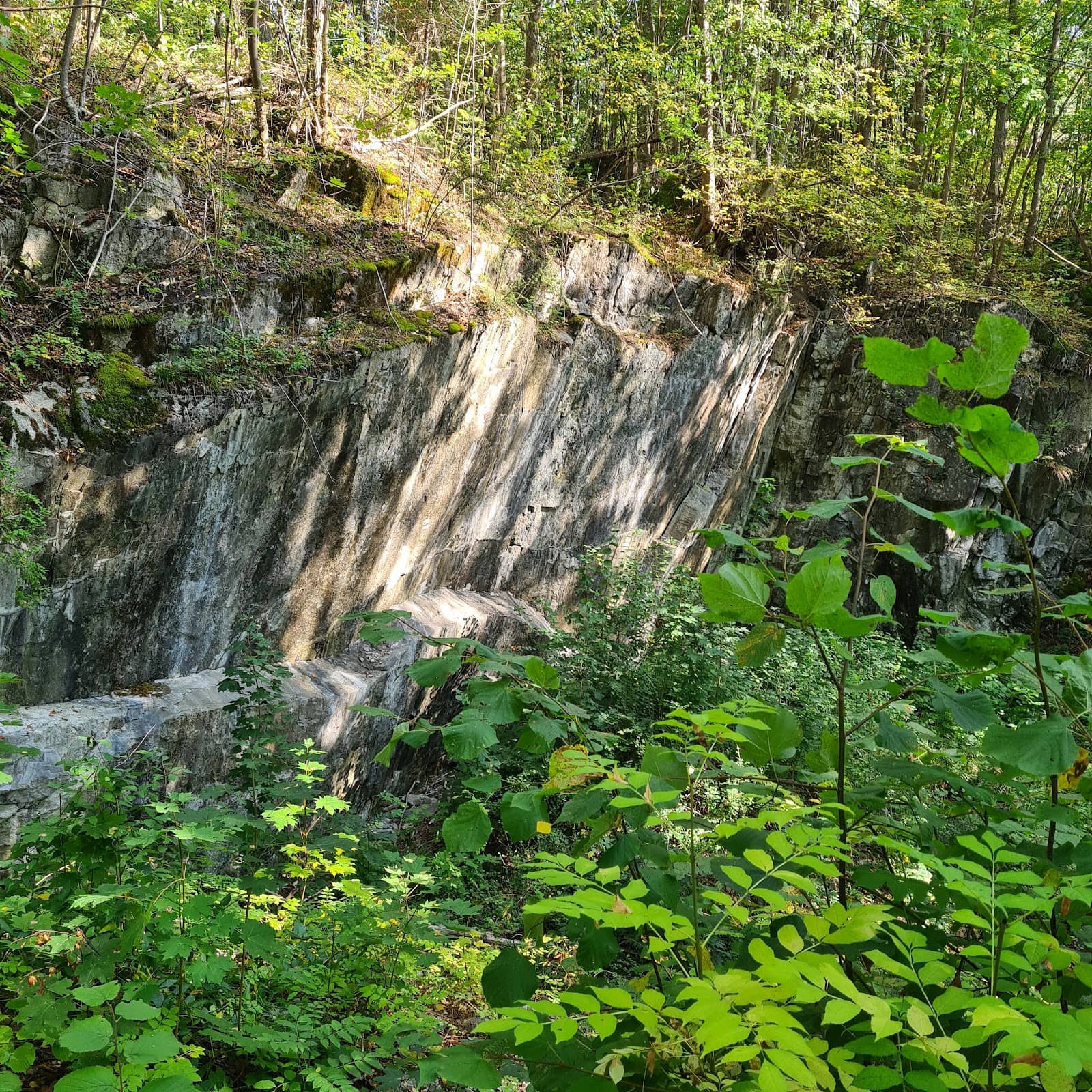 Scenic Hiking Trails