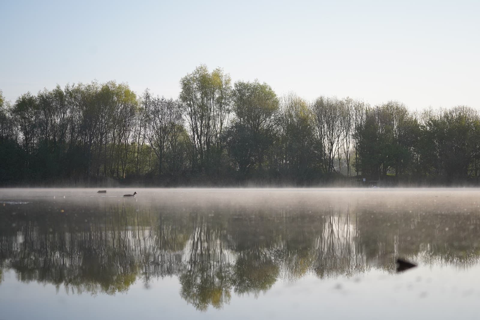 Dishley Pool & Nature Reserve - Image 1