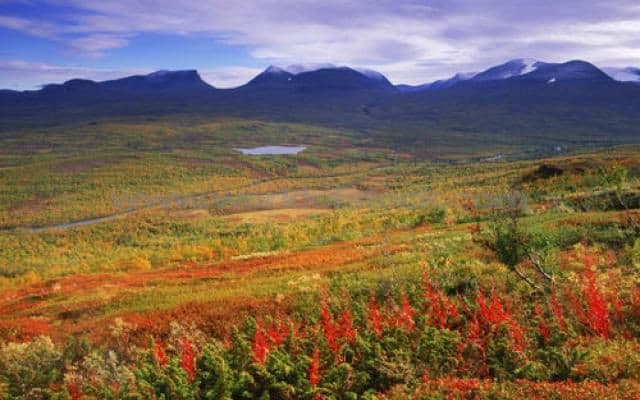 E10 Scenic Drive (Kiruna–Abisko) - Image 1