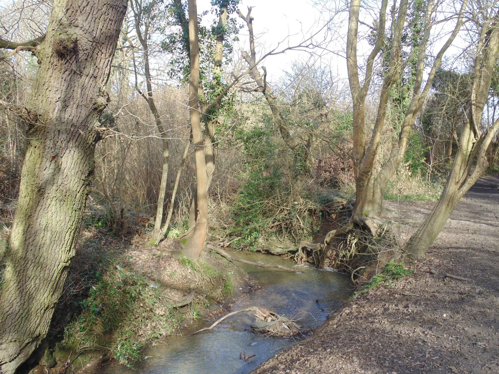 Community Atmosphere