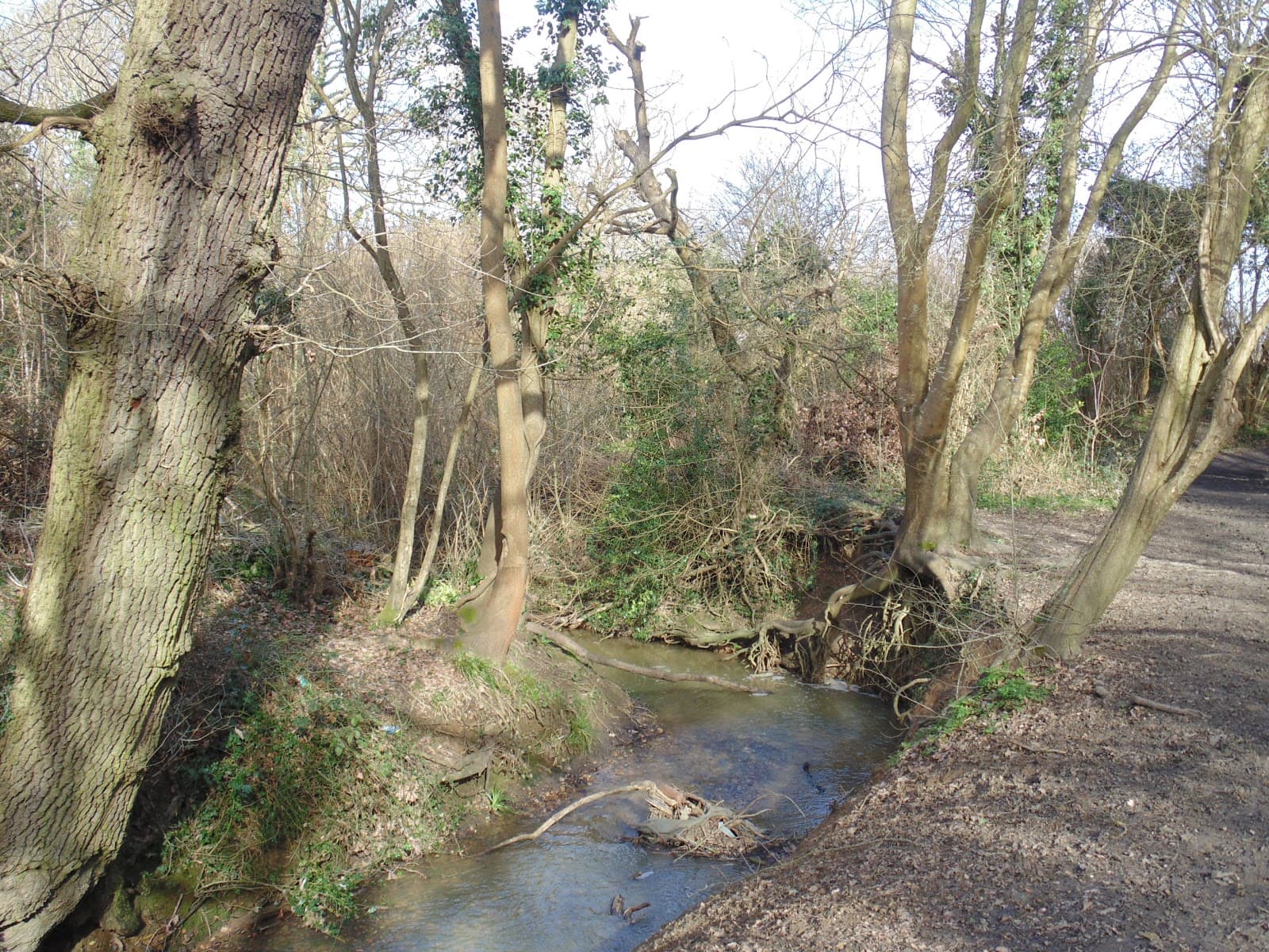 Castle Hill Local Nature Reserve Chessington - Image 1