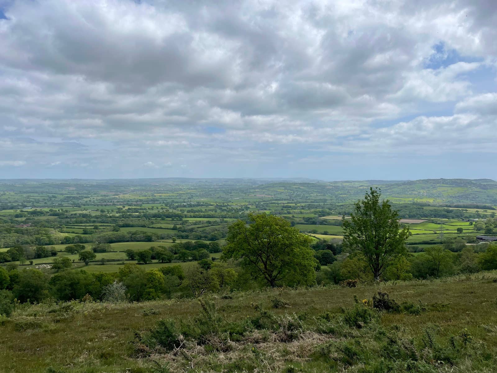 Shaded Woodland Trails
