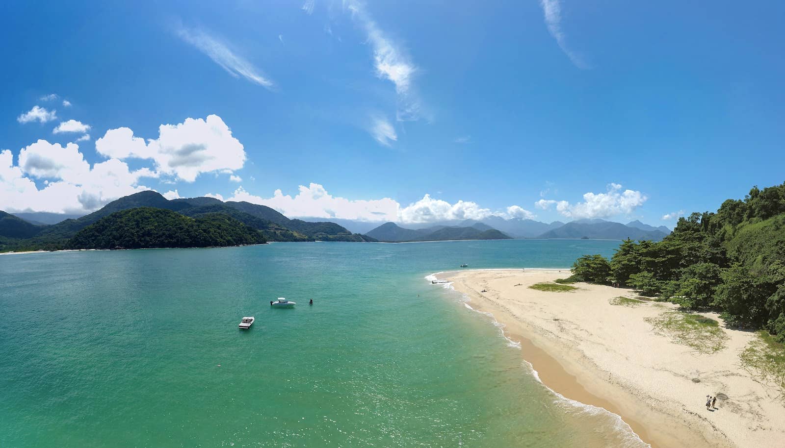 Local Seafood Delights