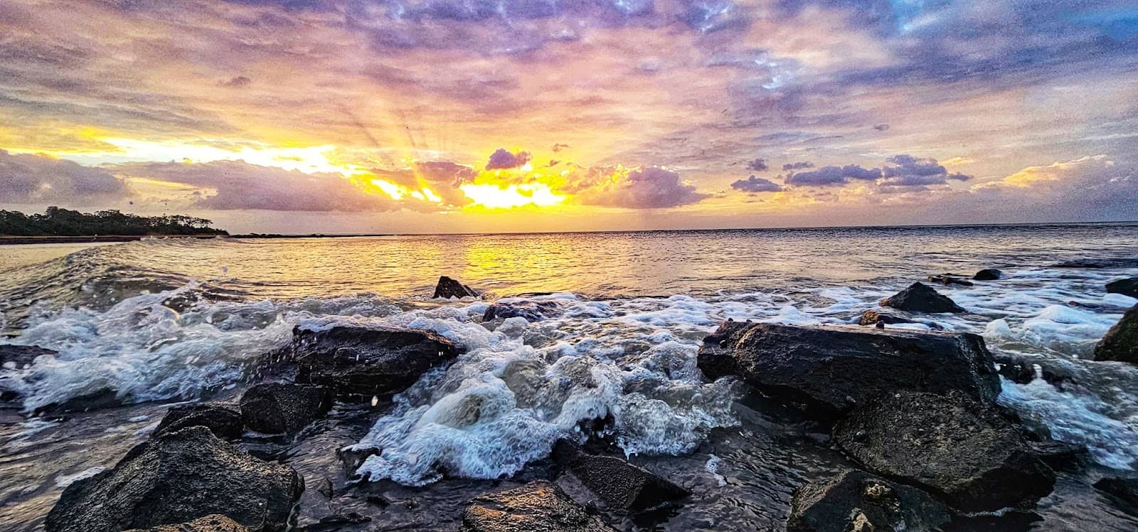 Marine Life Spotting