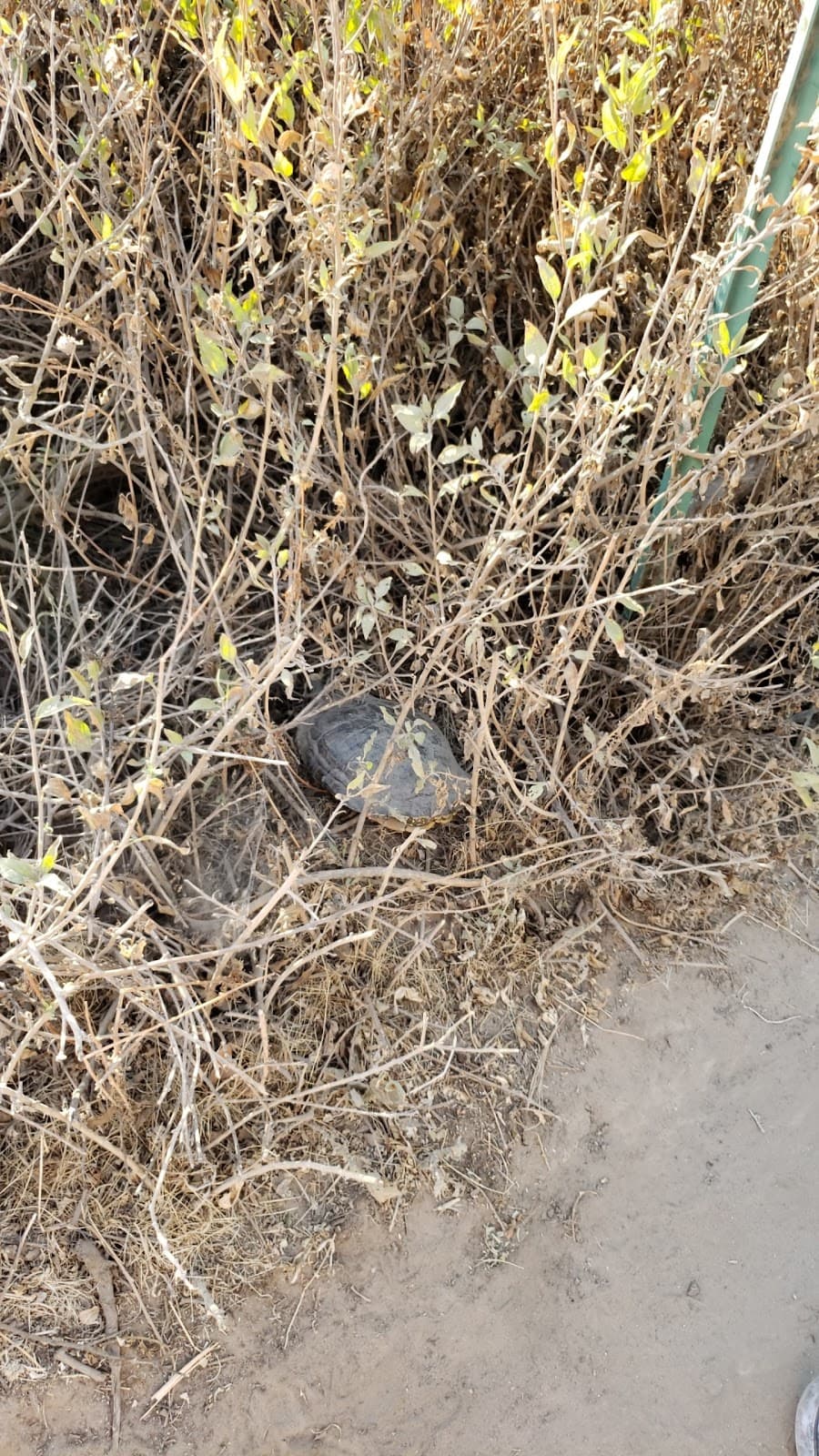 Bluff Creek Trail - Image 1