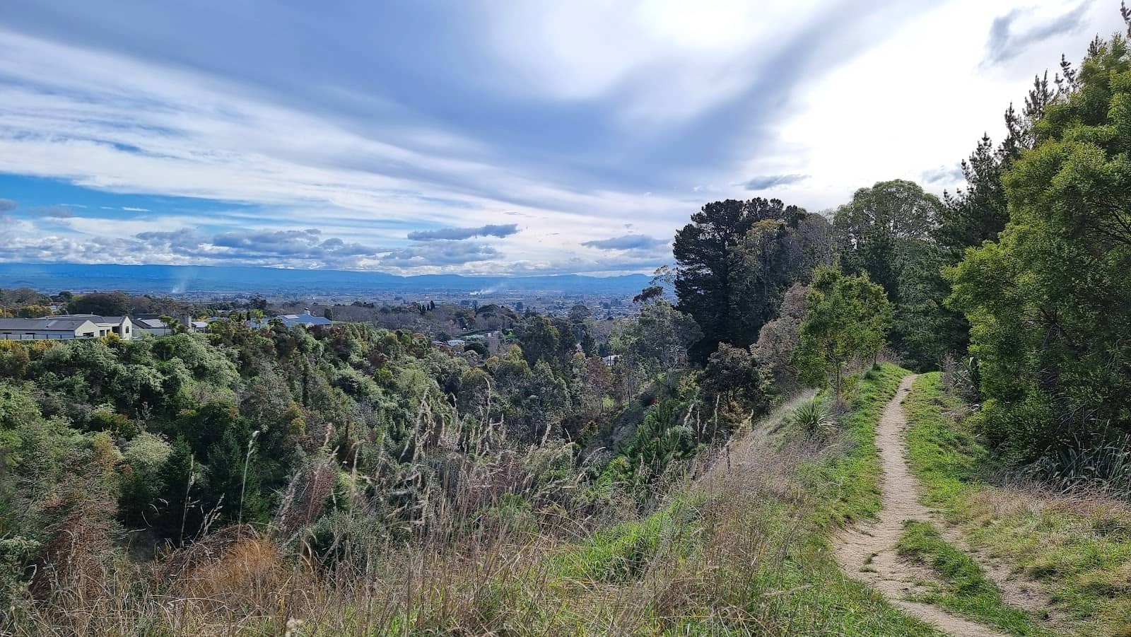 Dog-Friendly Exploration