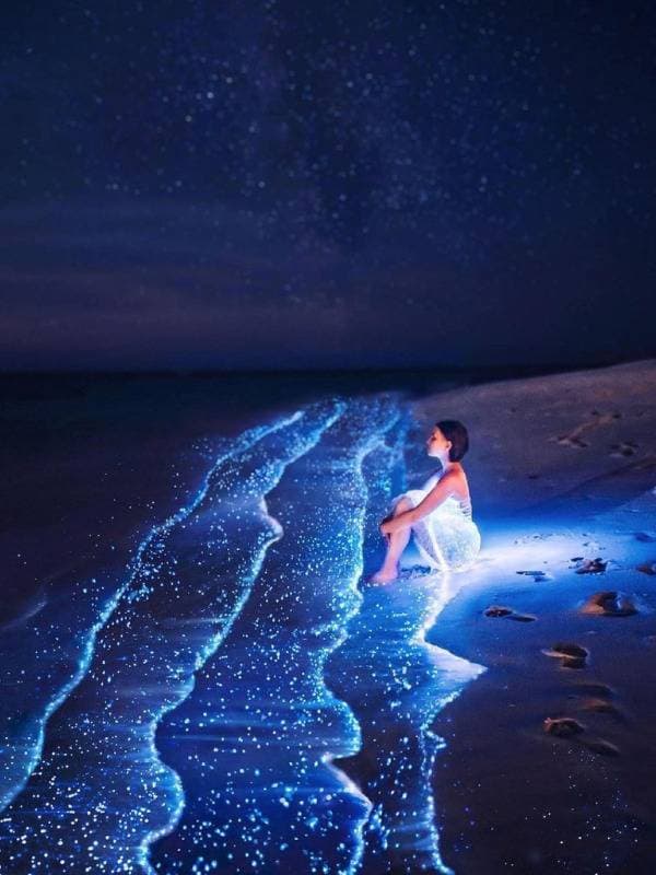 Vaadhoo 'Sea of Stars' Beach Raa - Image 1