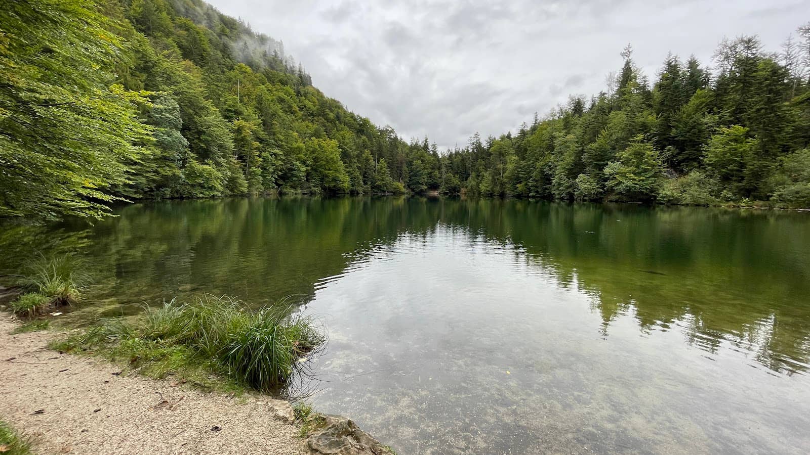 Pure Nature Escape