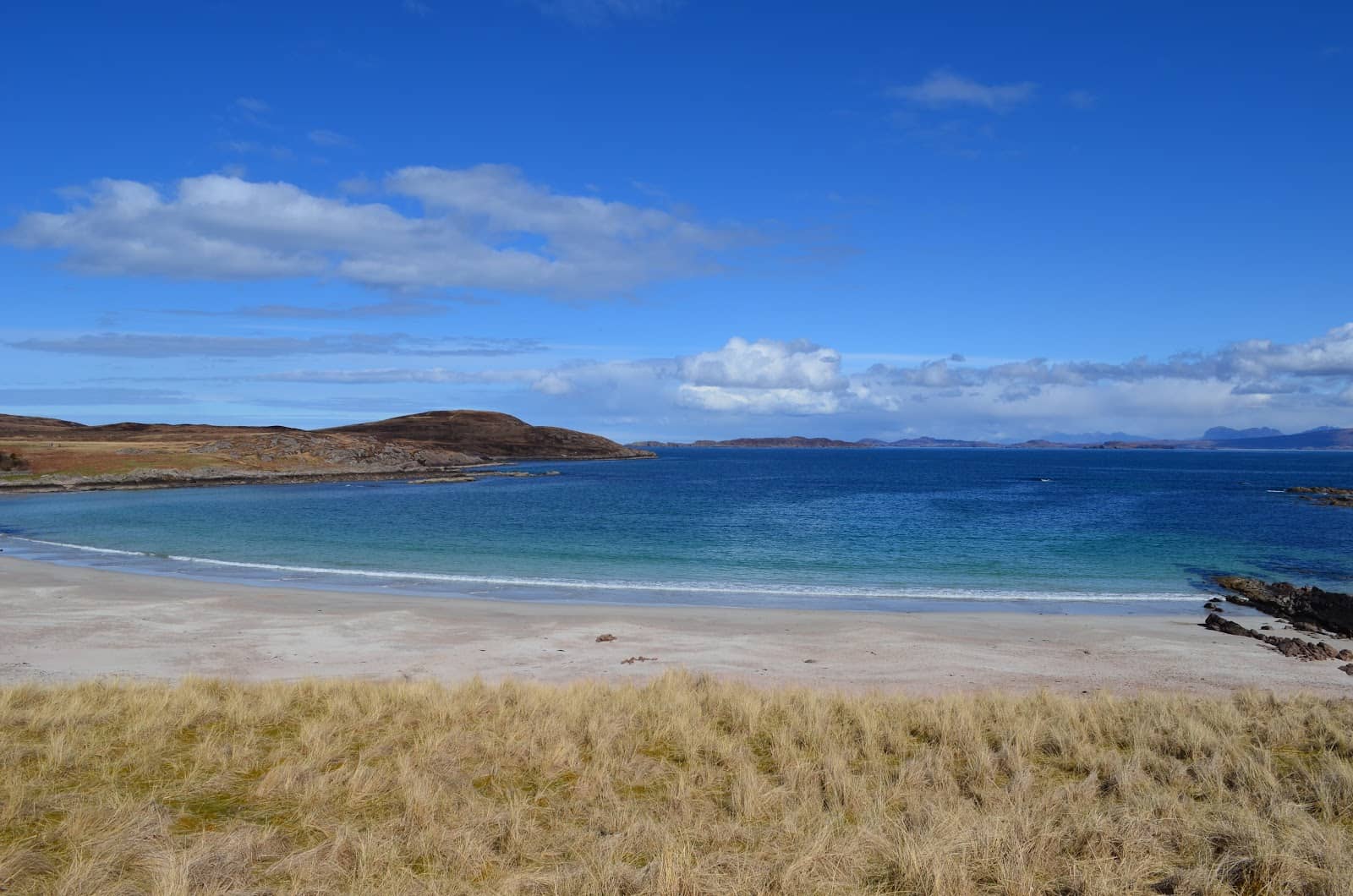 Wildlife Spotting Opportunities