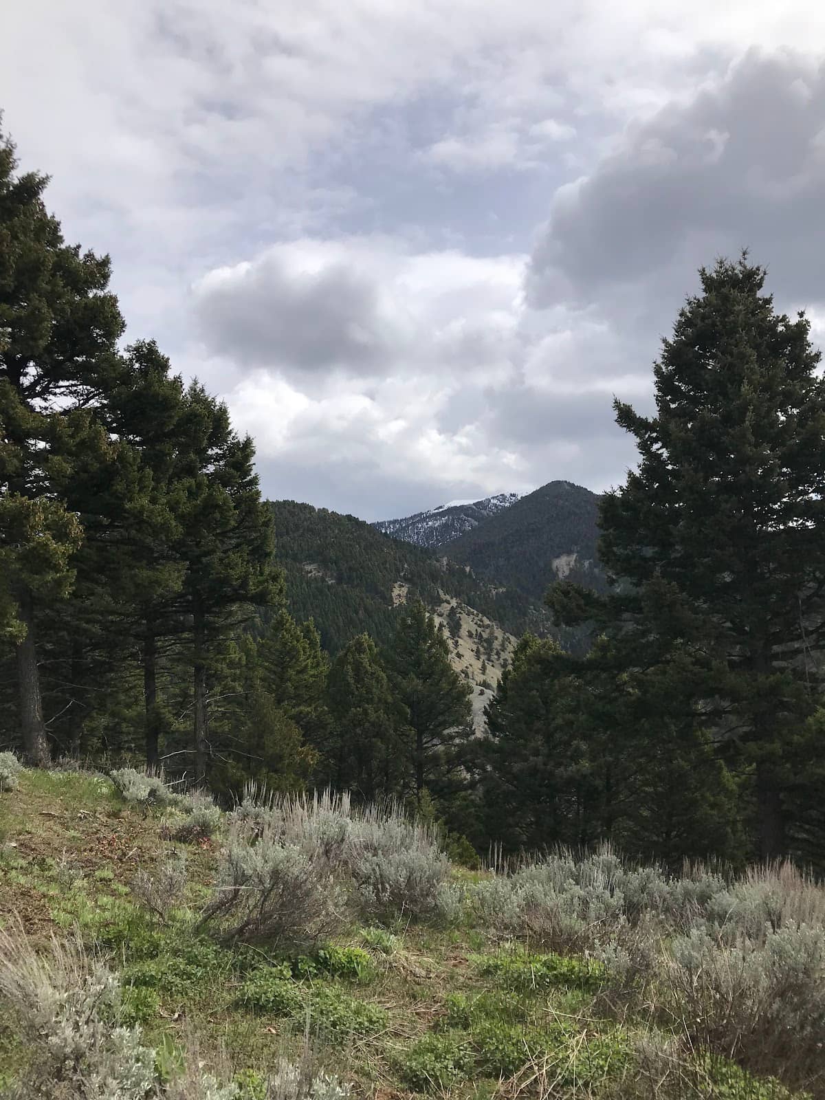 Mountain Biking Descent