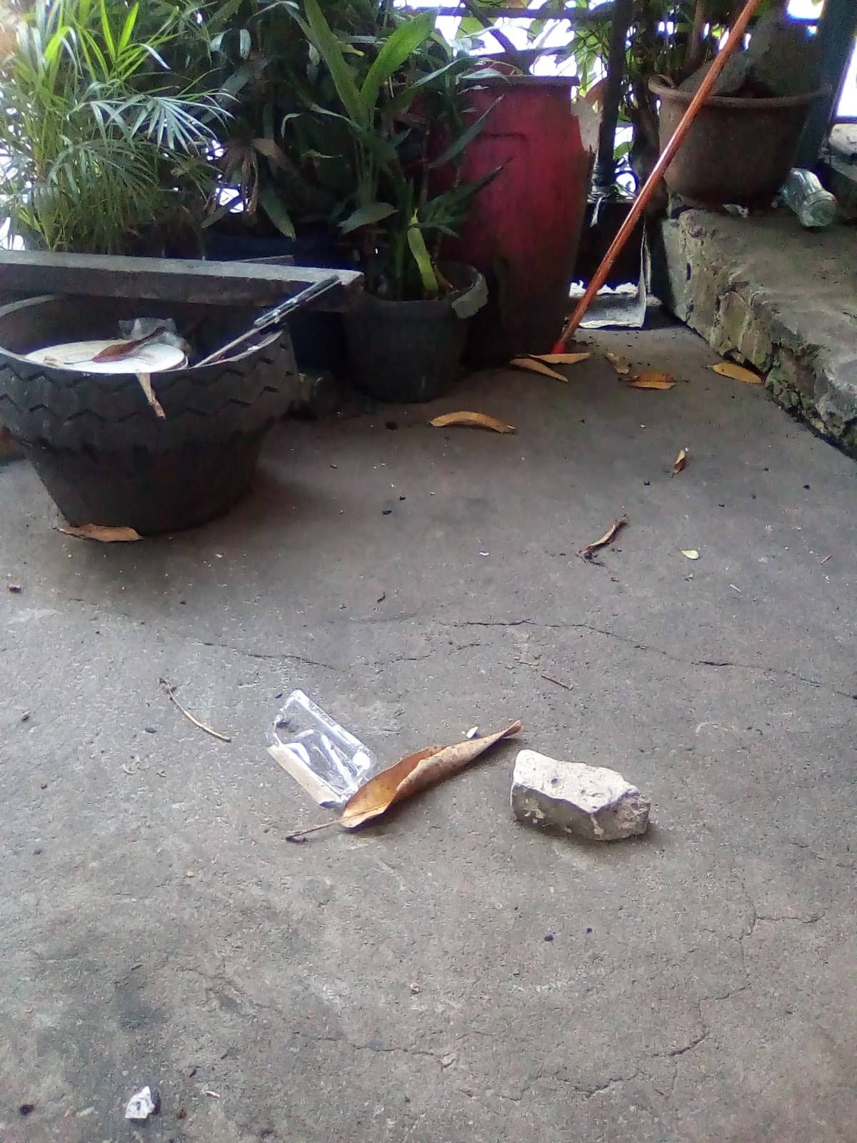 University of the Philippines Diliman