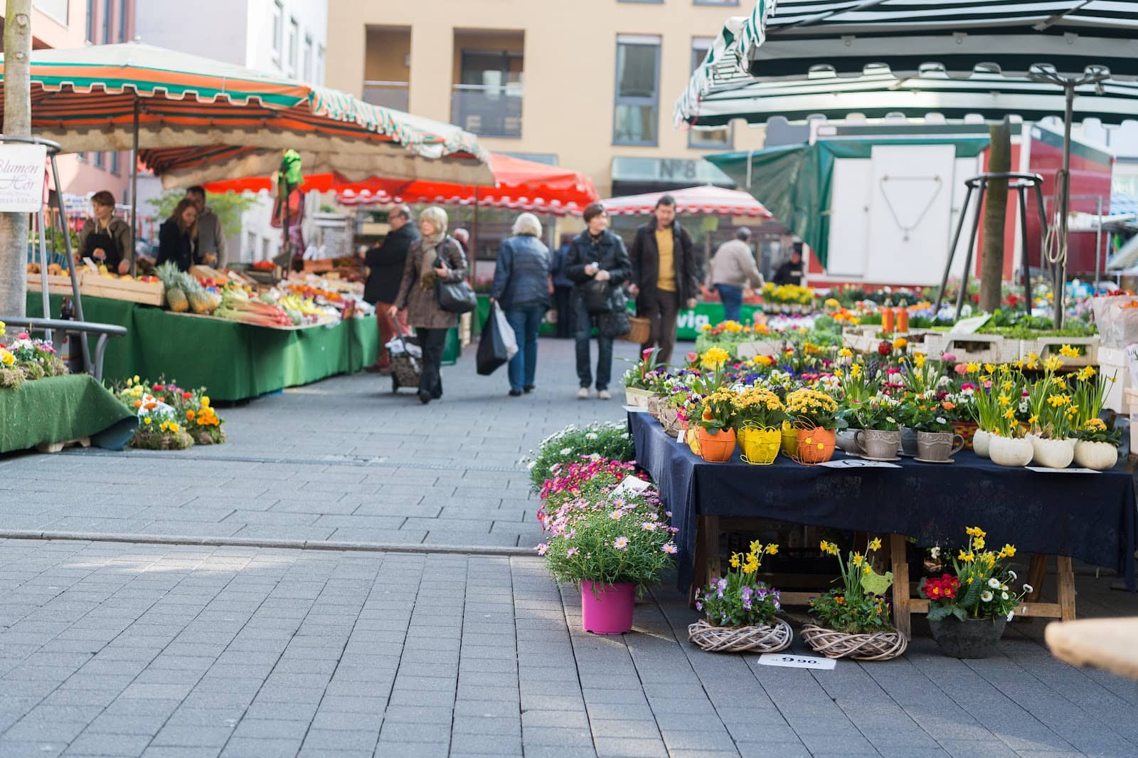 Local Crafts and Flowers