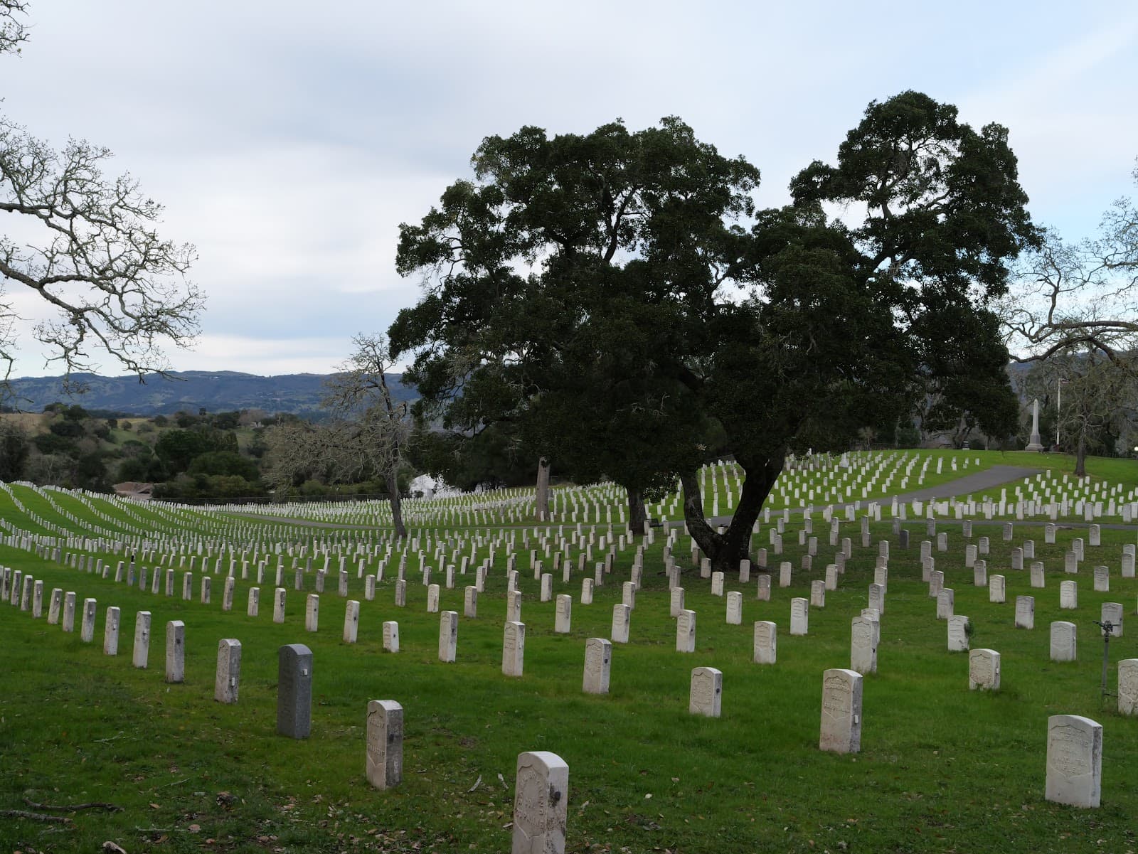 Yountville Veterans Home Cemetery - Image 1