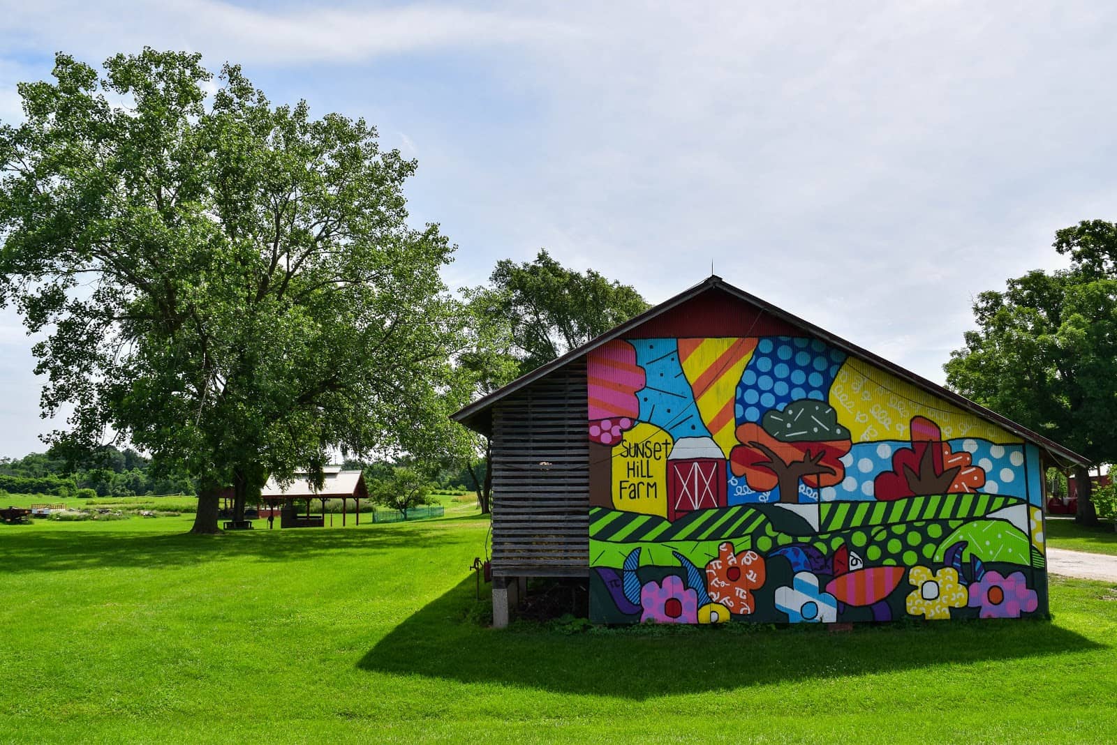 Wooded Walking Trails