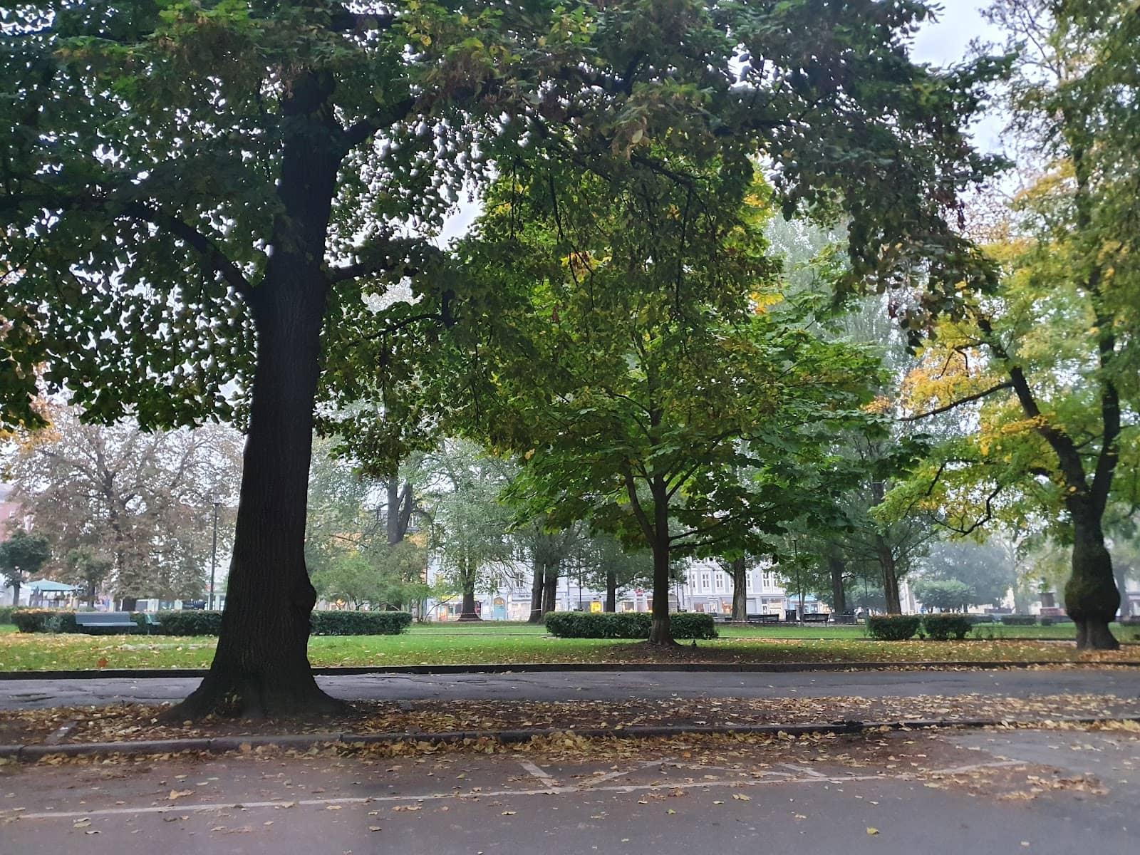 Cozy Park Atmosphere