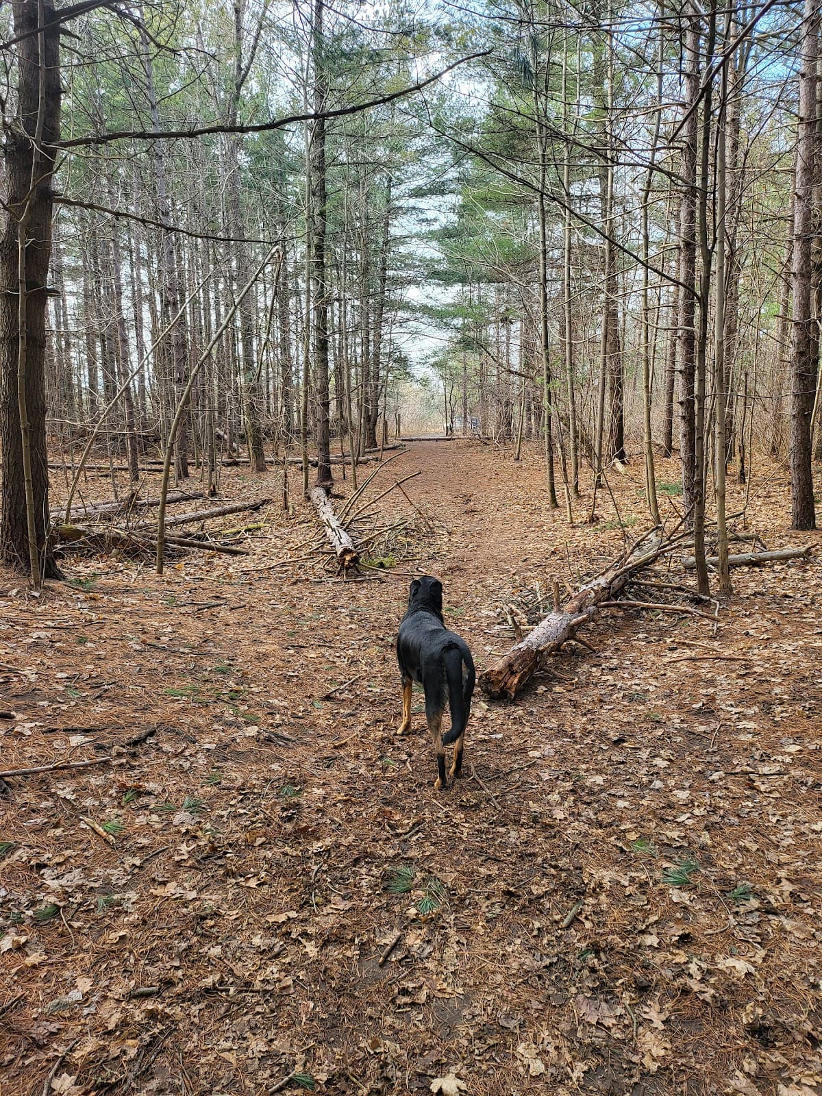 Greenwood Conservation Area Ajax - Image 1