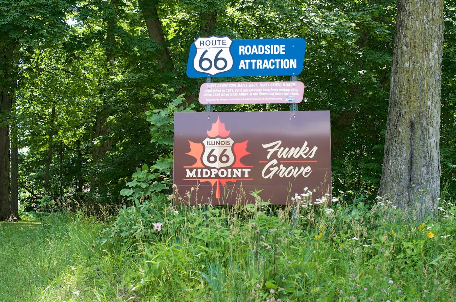 Funks Grove Pure Maple Sirup - Image 1