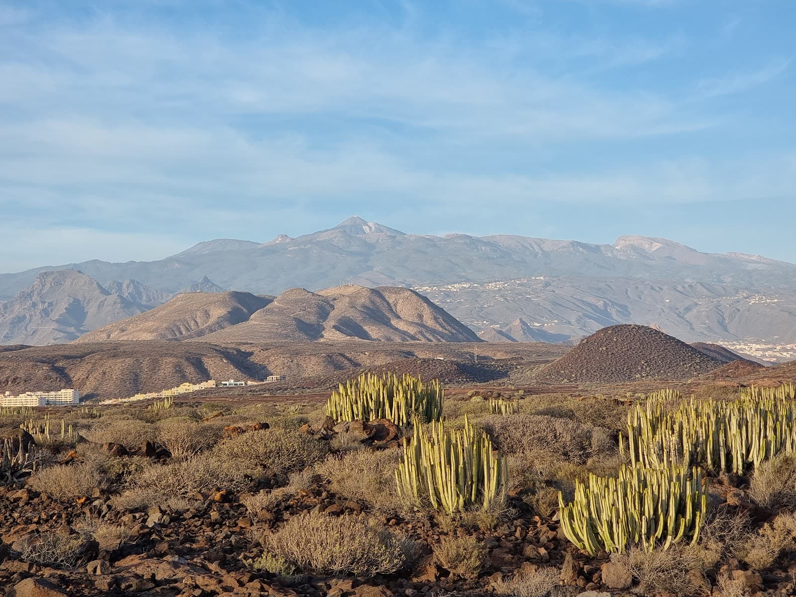 Los Cristianos Palm-Mar Coastal Path - Image 1