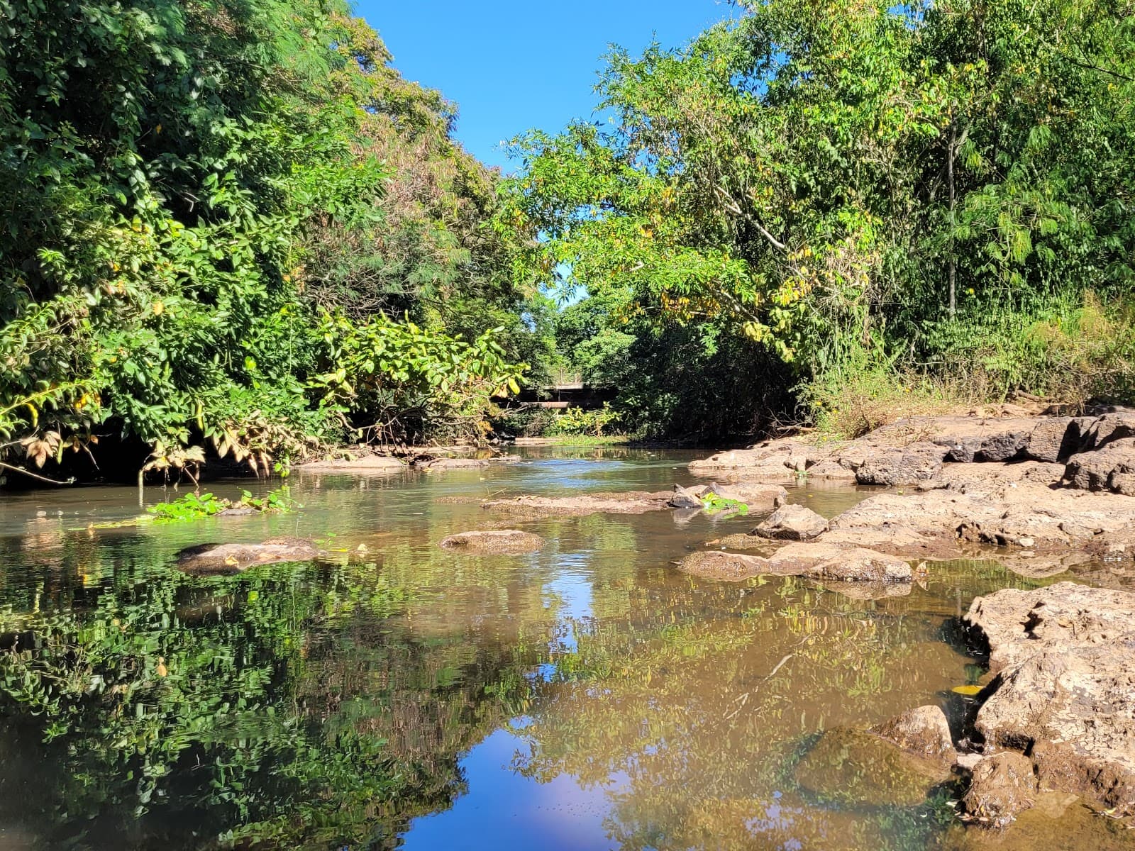 Parque Linear do Baguaçu - Image 1