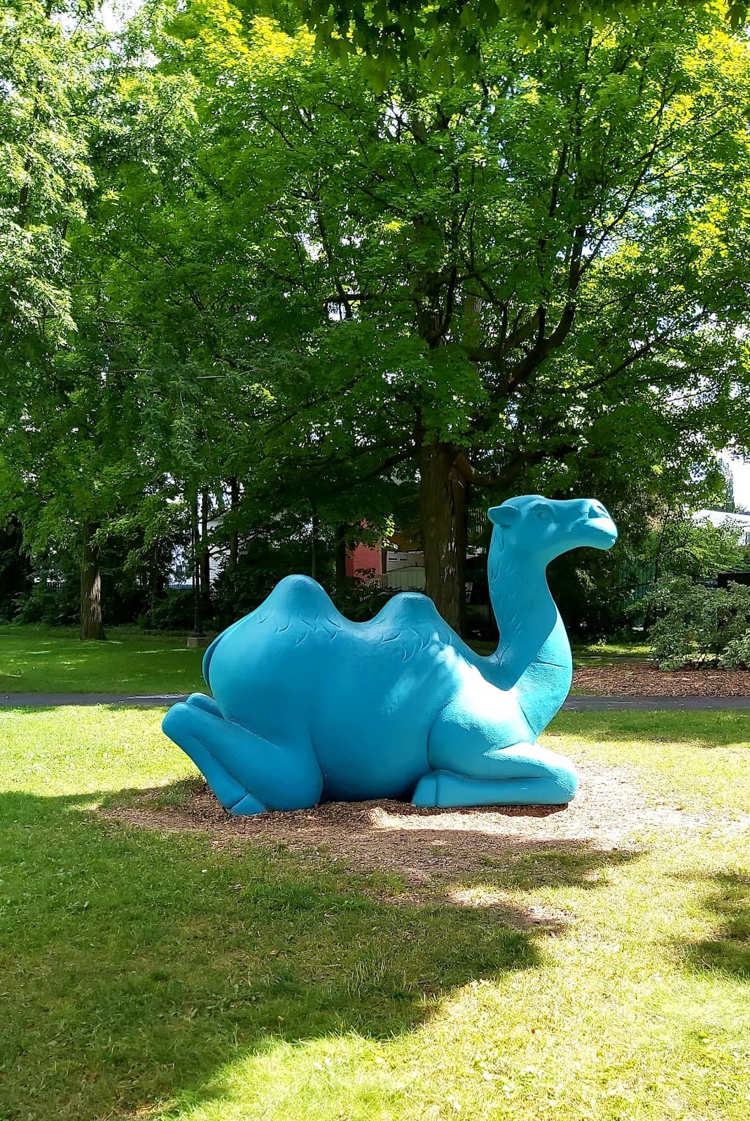 Interactive Workshops